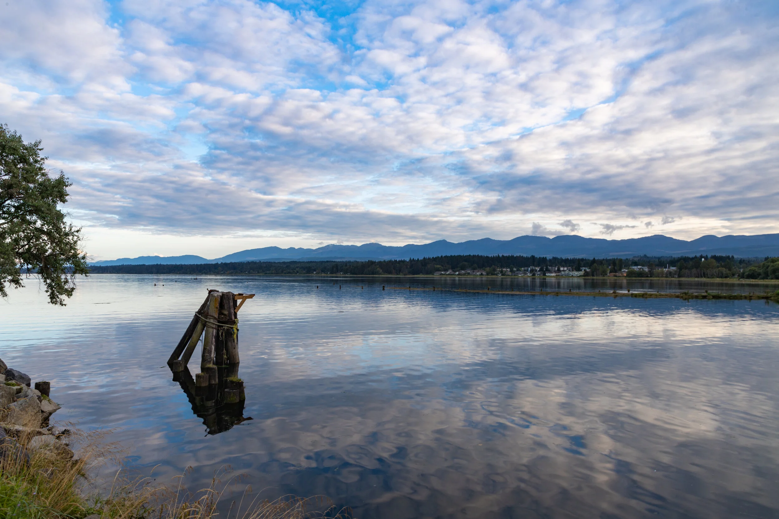Courtenay River, Courtenay, British Columbia, Canada