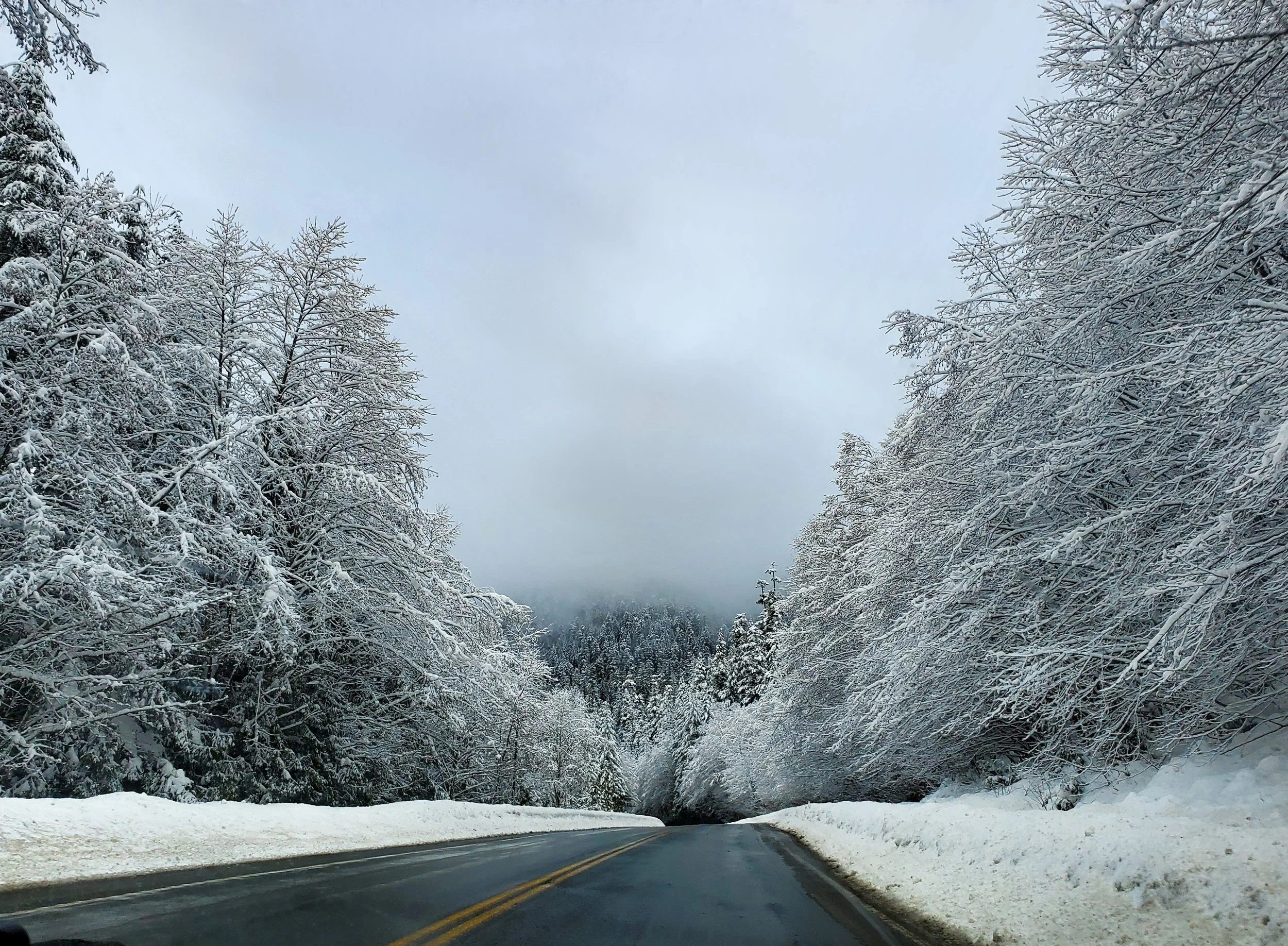 Vancouver Island, British Columbia, Canada