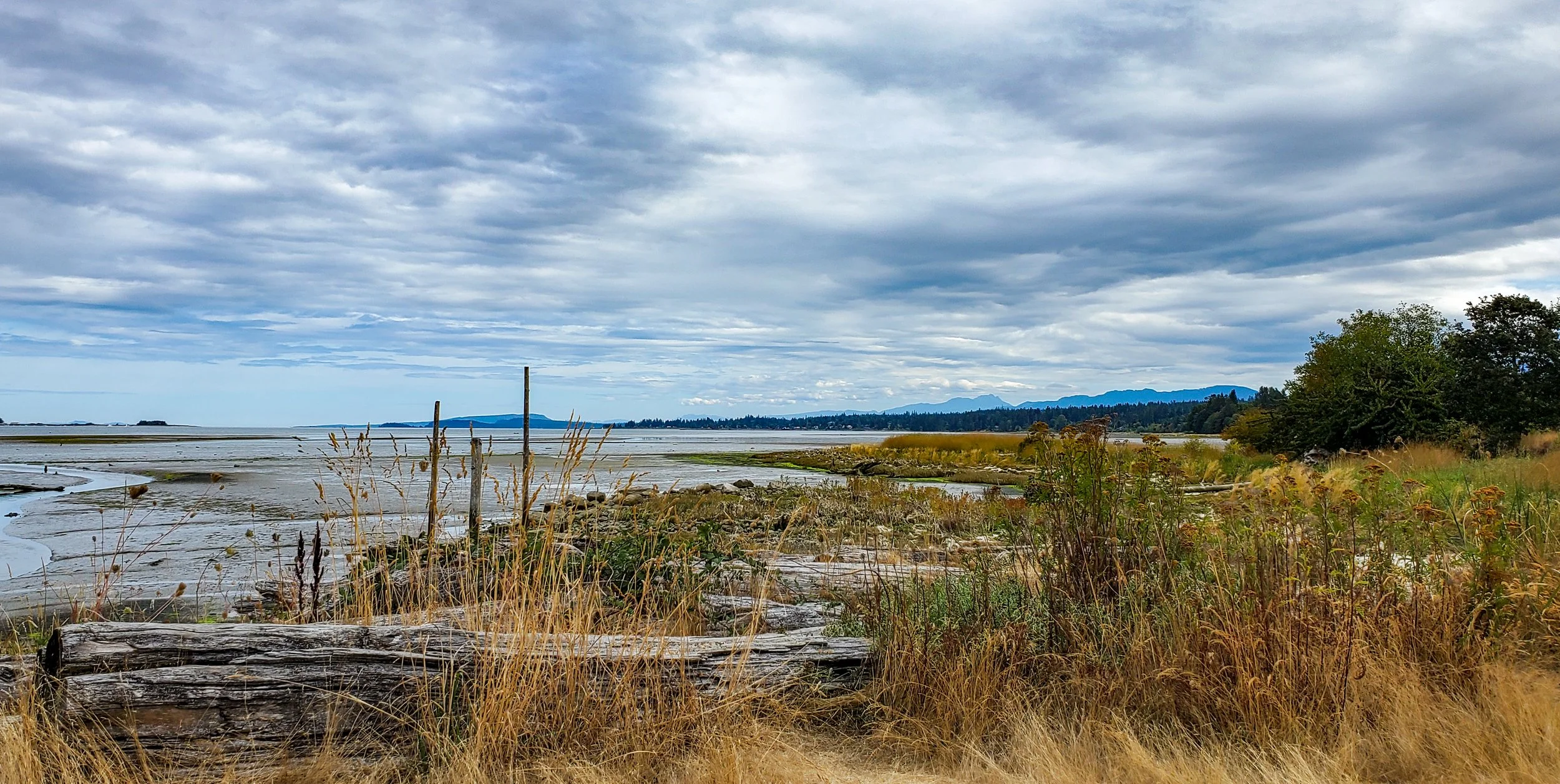 Airpark, Courtenay, British Columbia, Canada