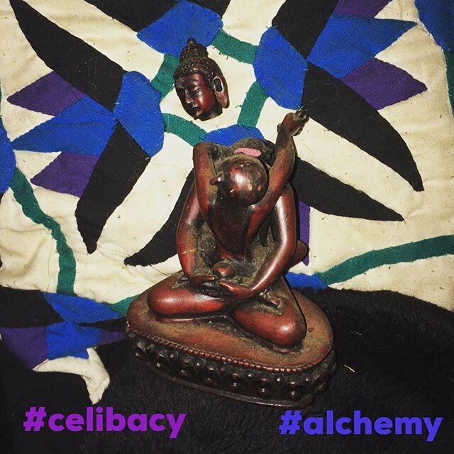 #celibacy #blackwidow #alchemy #strixrynn #dakini #yabyum #meditation #twinflame #tantric #yoga #tantricyoga #redsparrow #evolution #sacredsexuality #transformation #shapeshifter #strix #spirituality #evolve #darkness #darklight #divinefeminine #divi