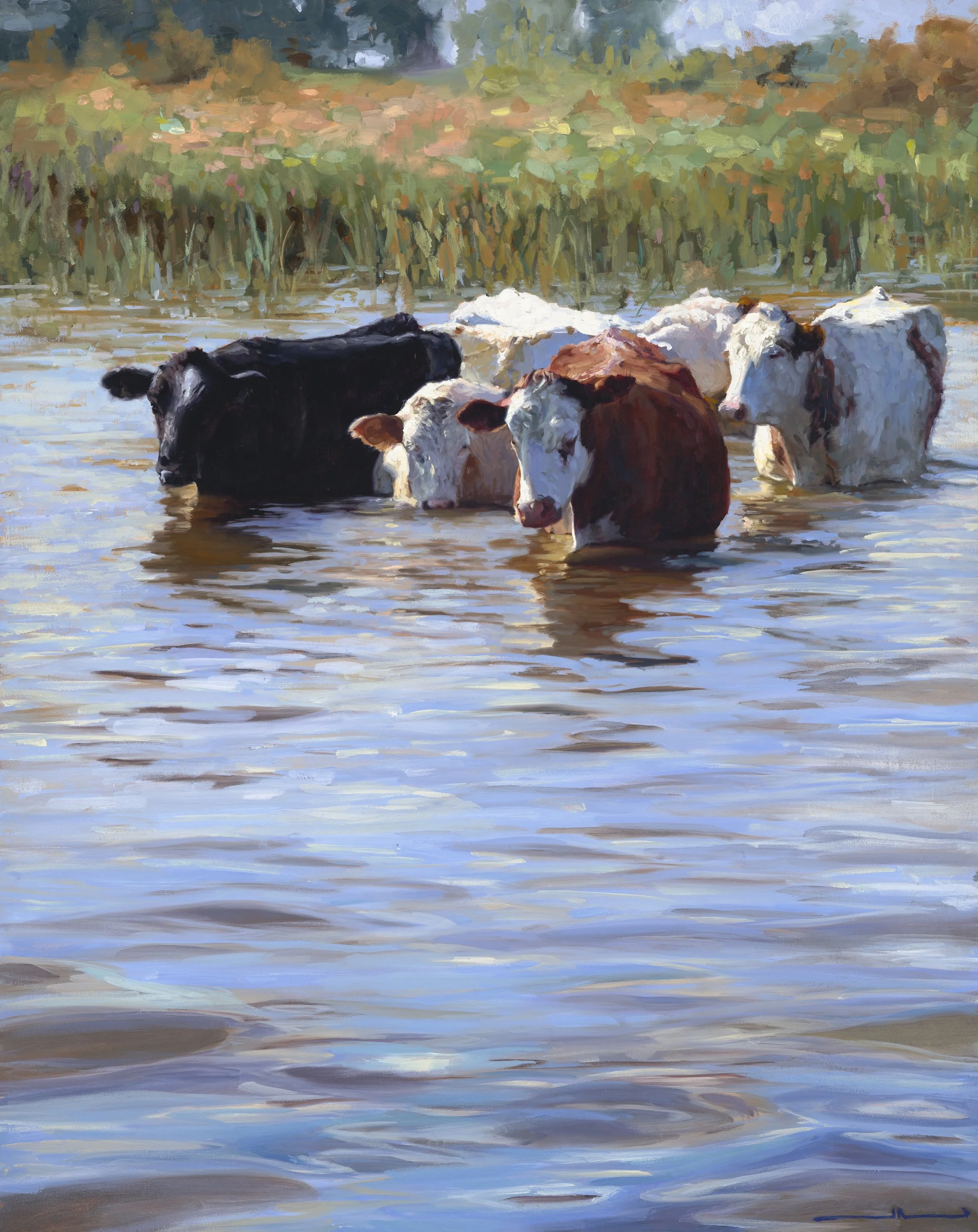 Cooling Off