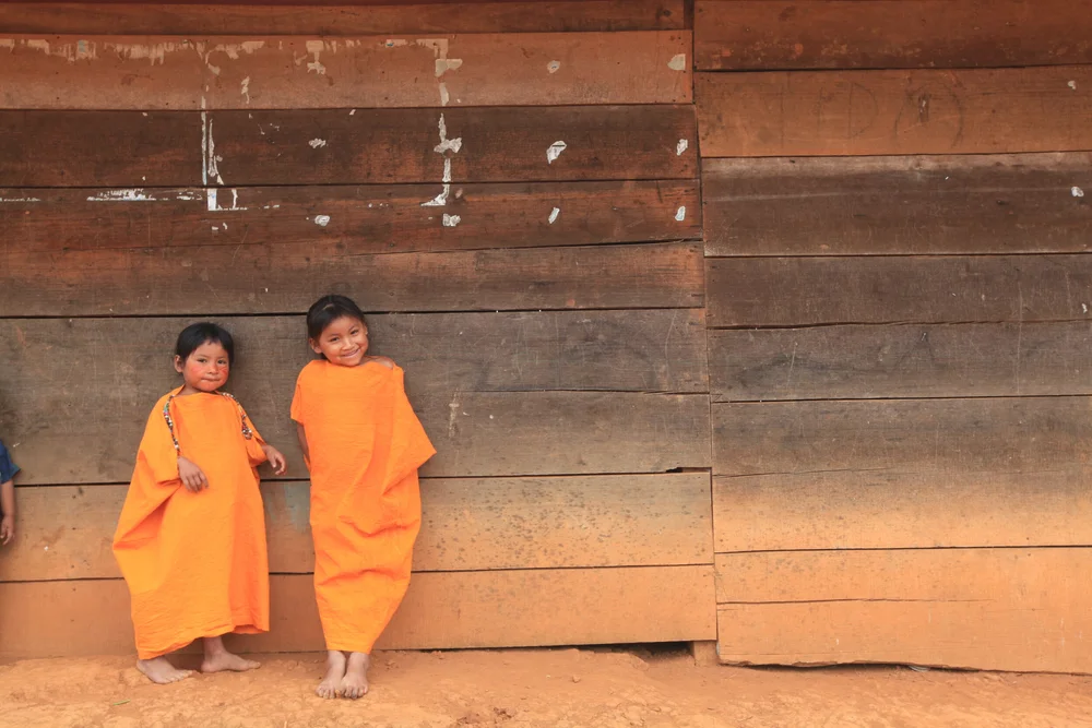 Coffee Grown in the Amazon rainforest by an isolated community in a