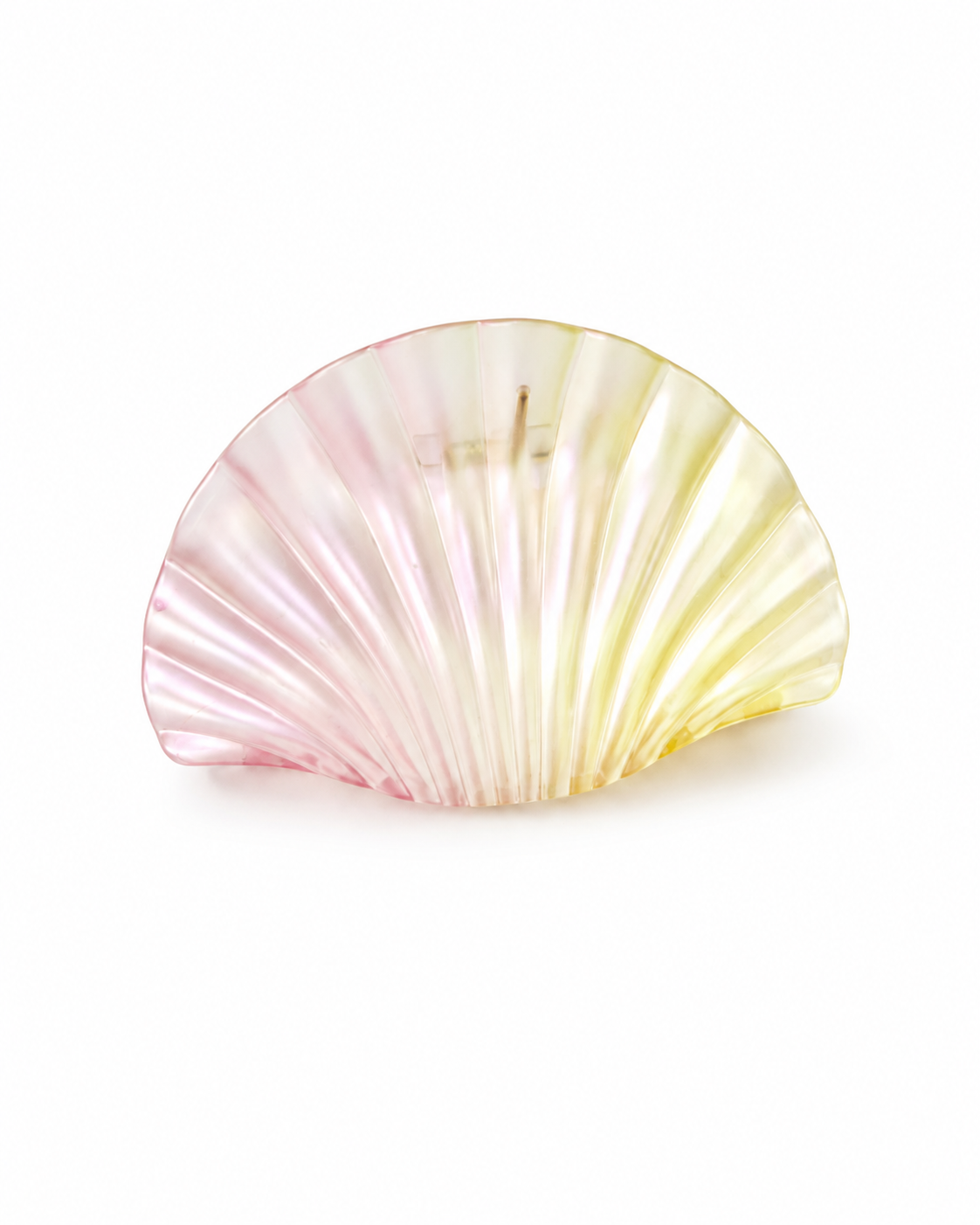 Multicolor Shell Clip