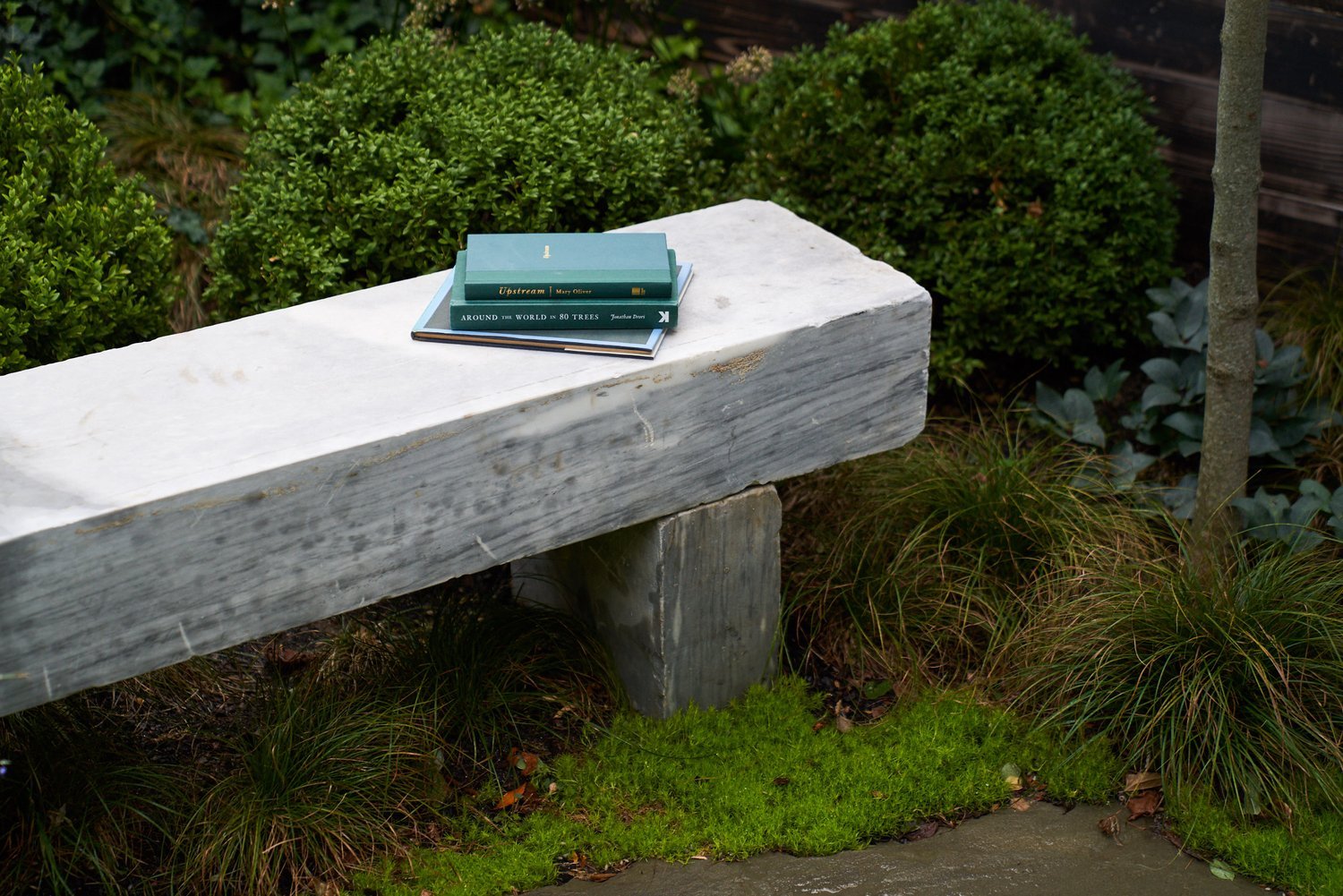 Bench.jpg