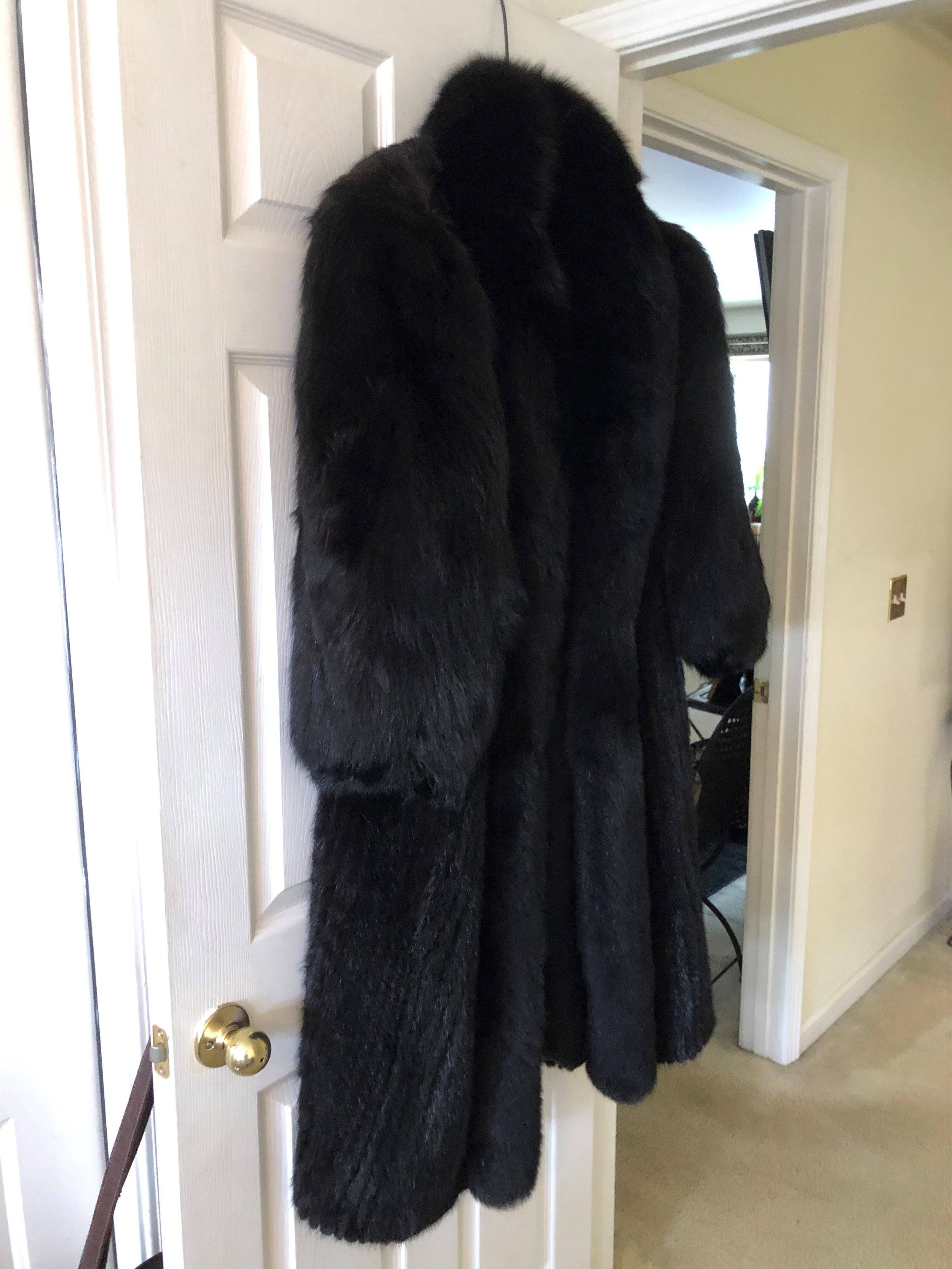 Fur Coat.jpg