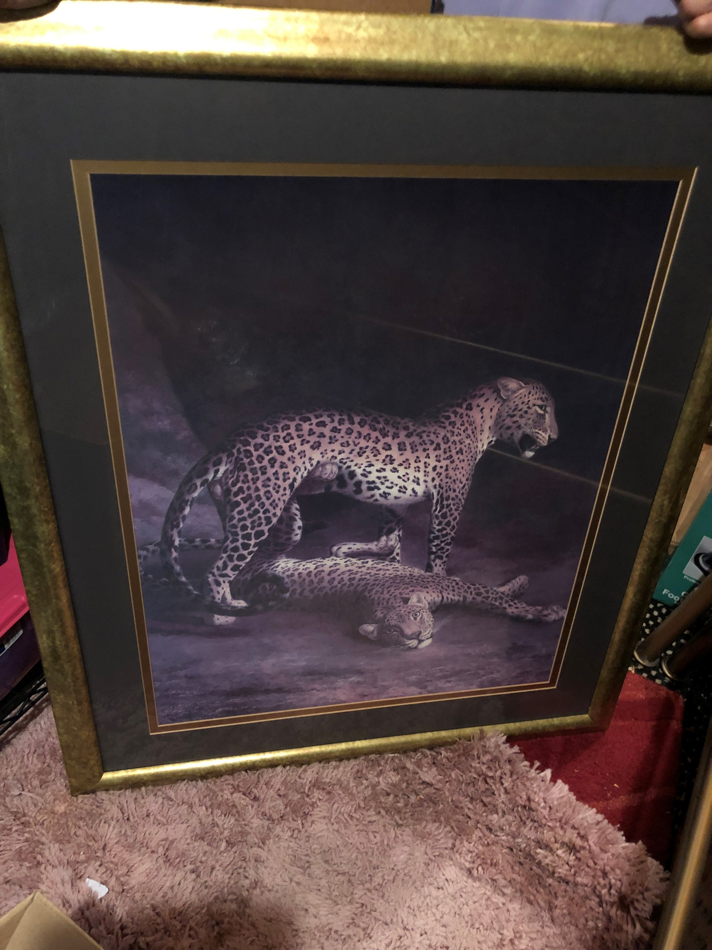 Leopard Print.jpg