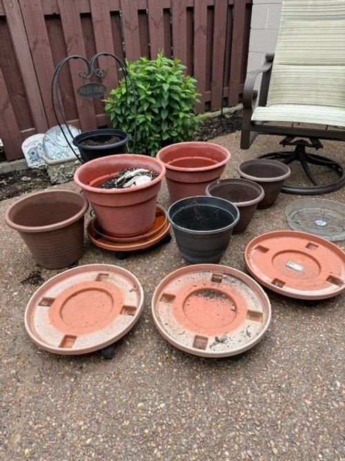 Flower Pots and Saucers.jpg