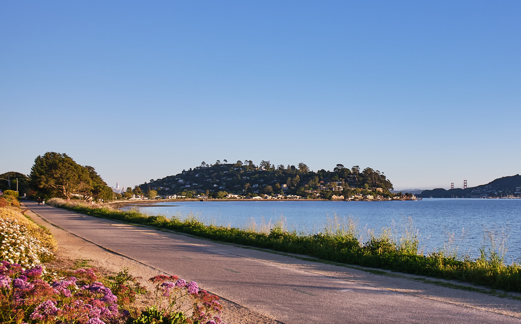 Compass_Tiburon_0108.jpg