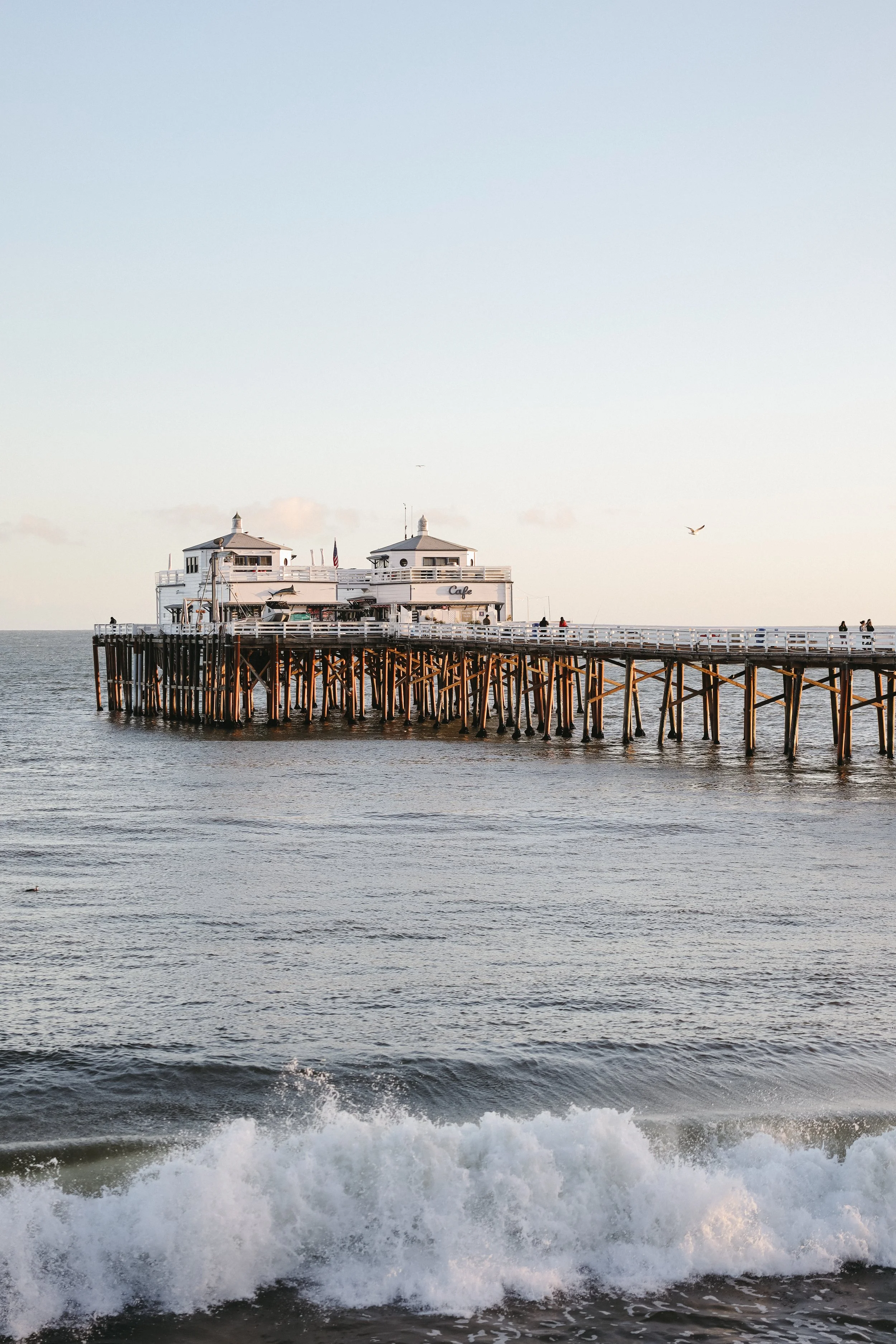 Malibu Pier by Nicole Schmiedl