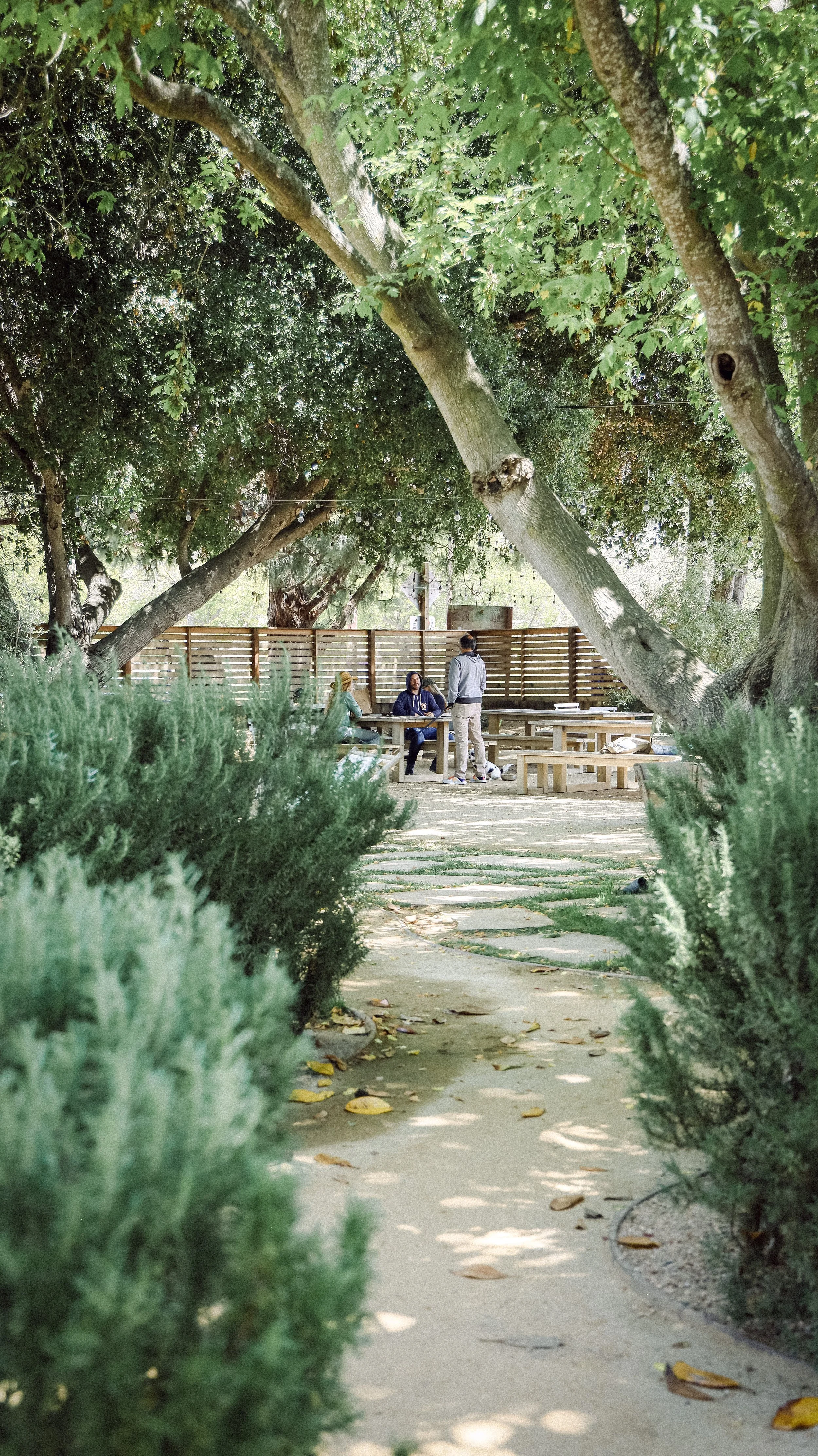 Bodega Los Alamos by Nicole Schmiedl 