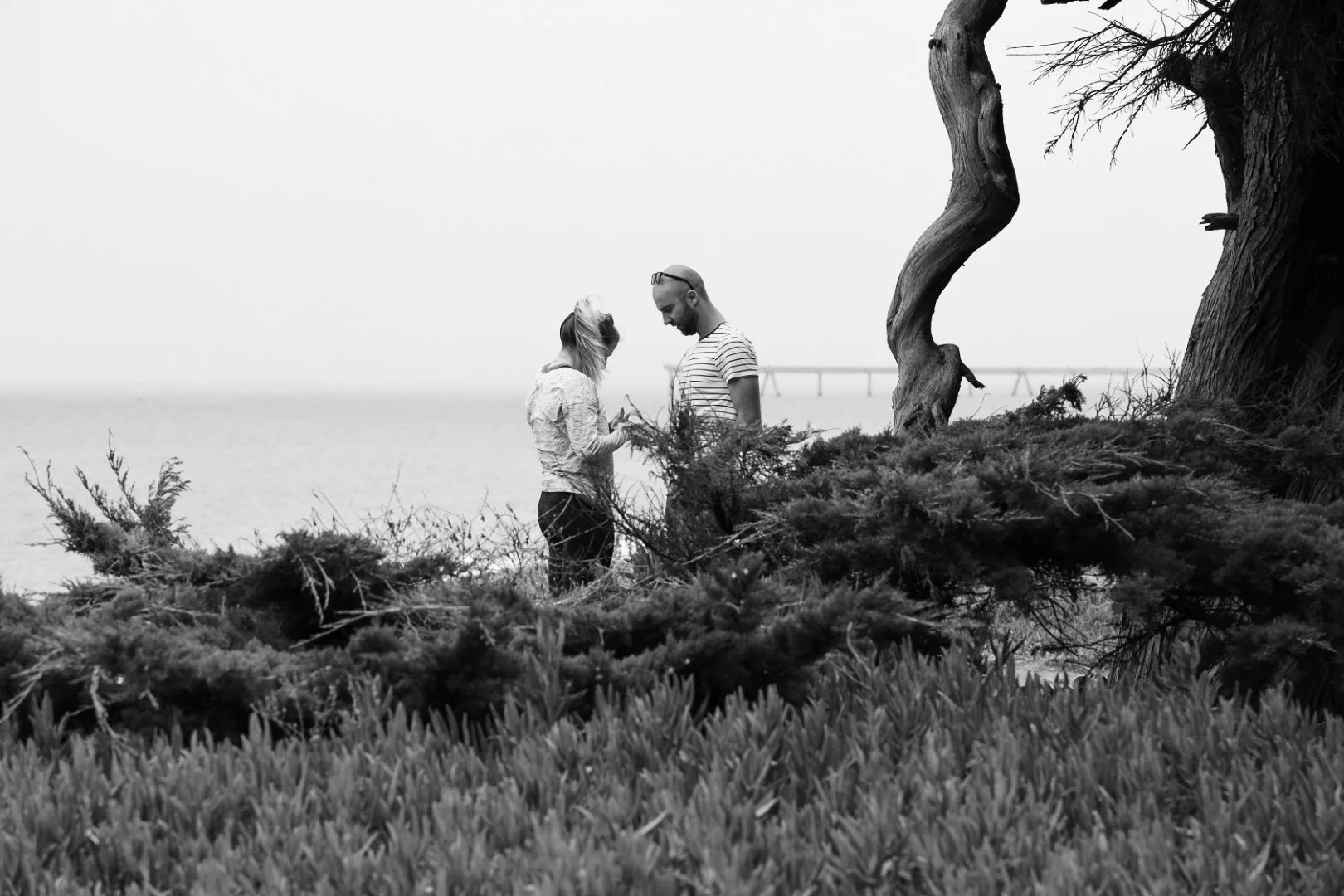 Harris Googe and Tulio Lenzi Da Silveira by Nicole Schmiedl 