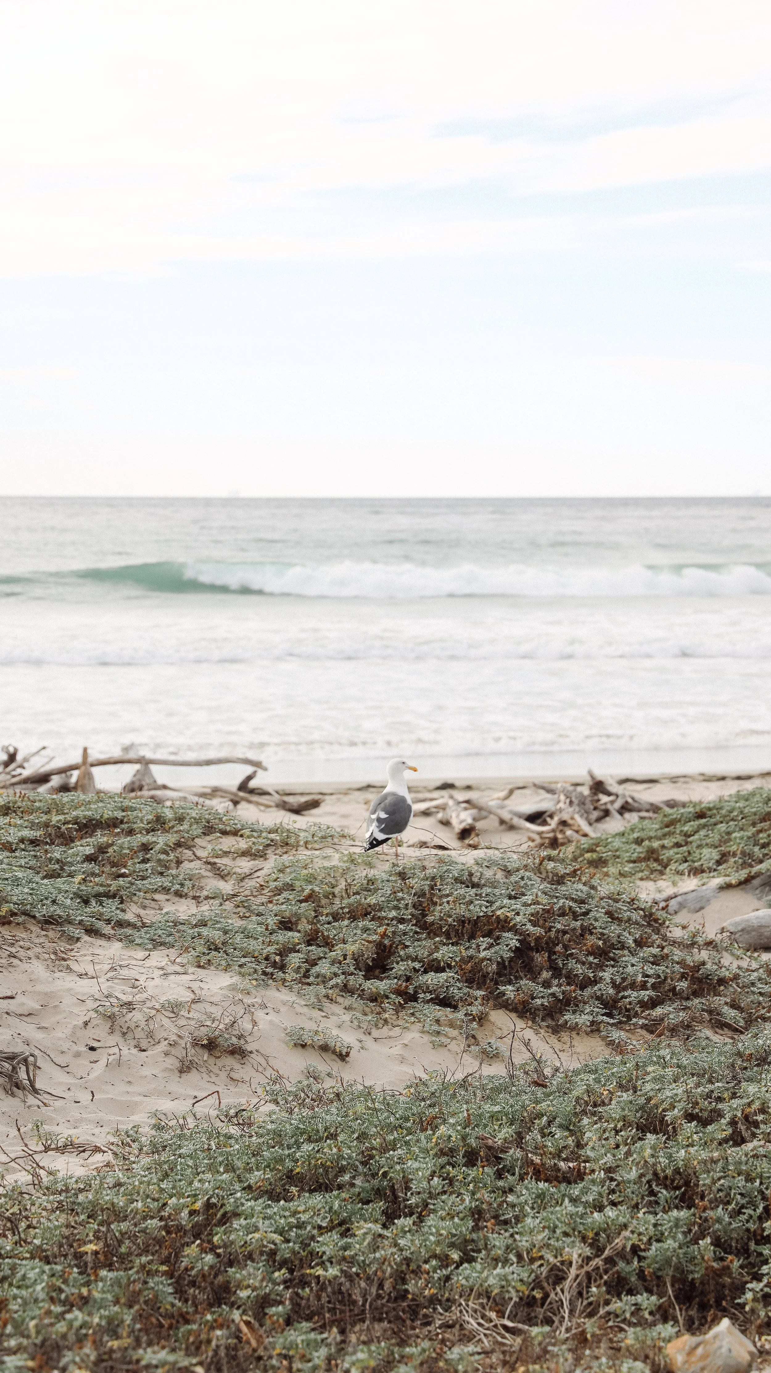 Jalama by Nicole Schmiedl