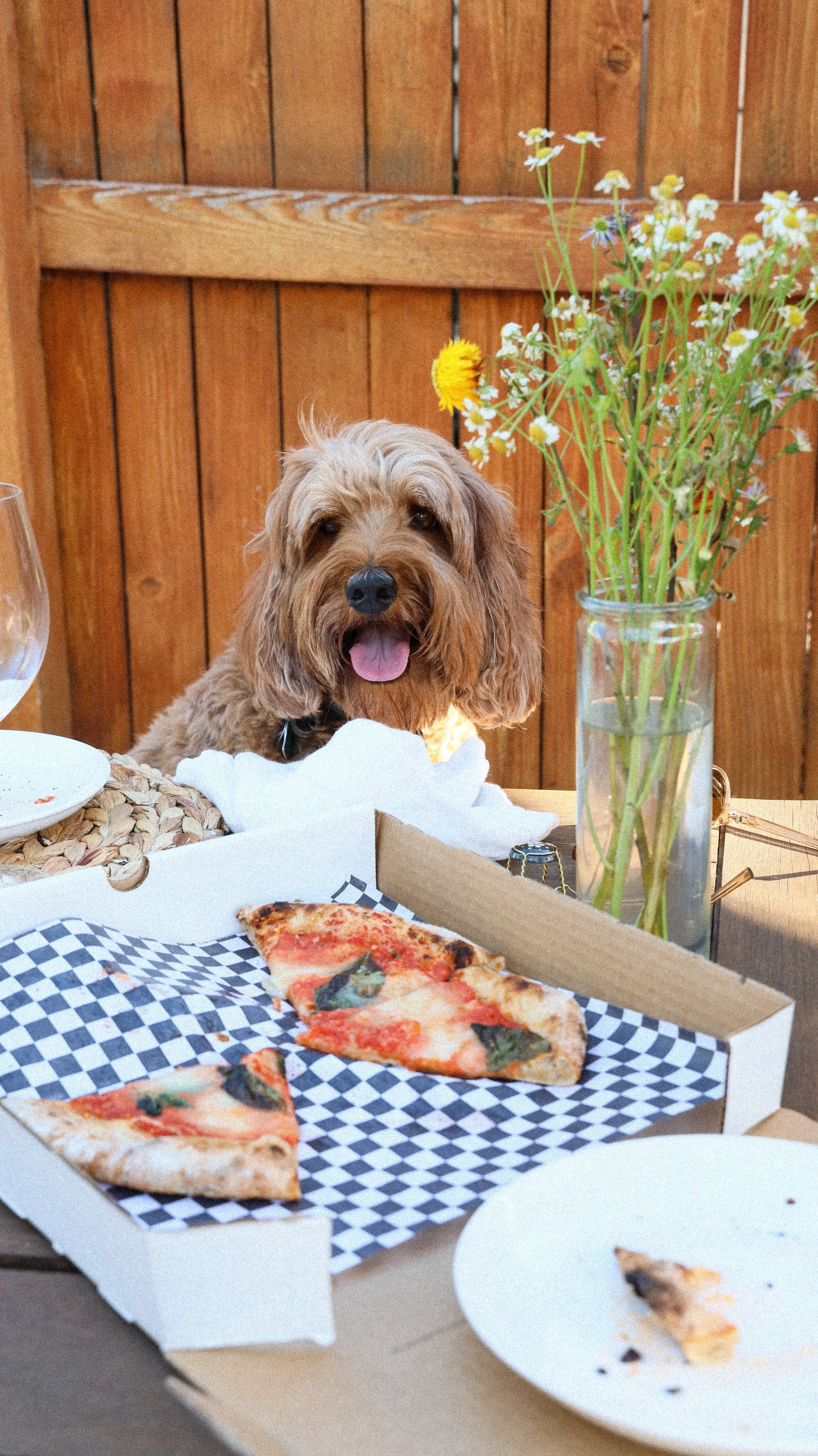 Pizza Friday by Nicole Schmiedl