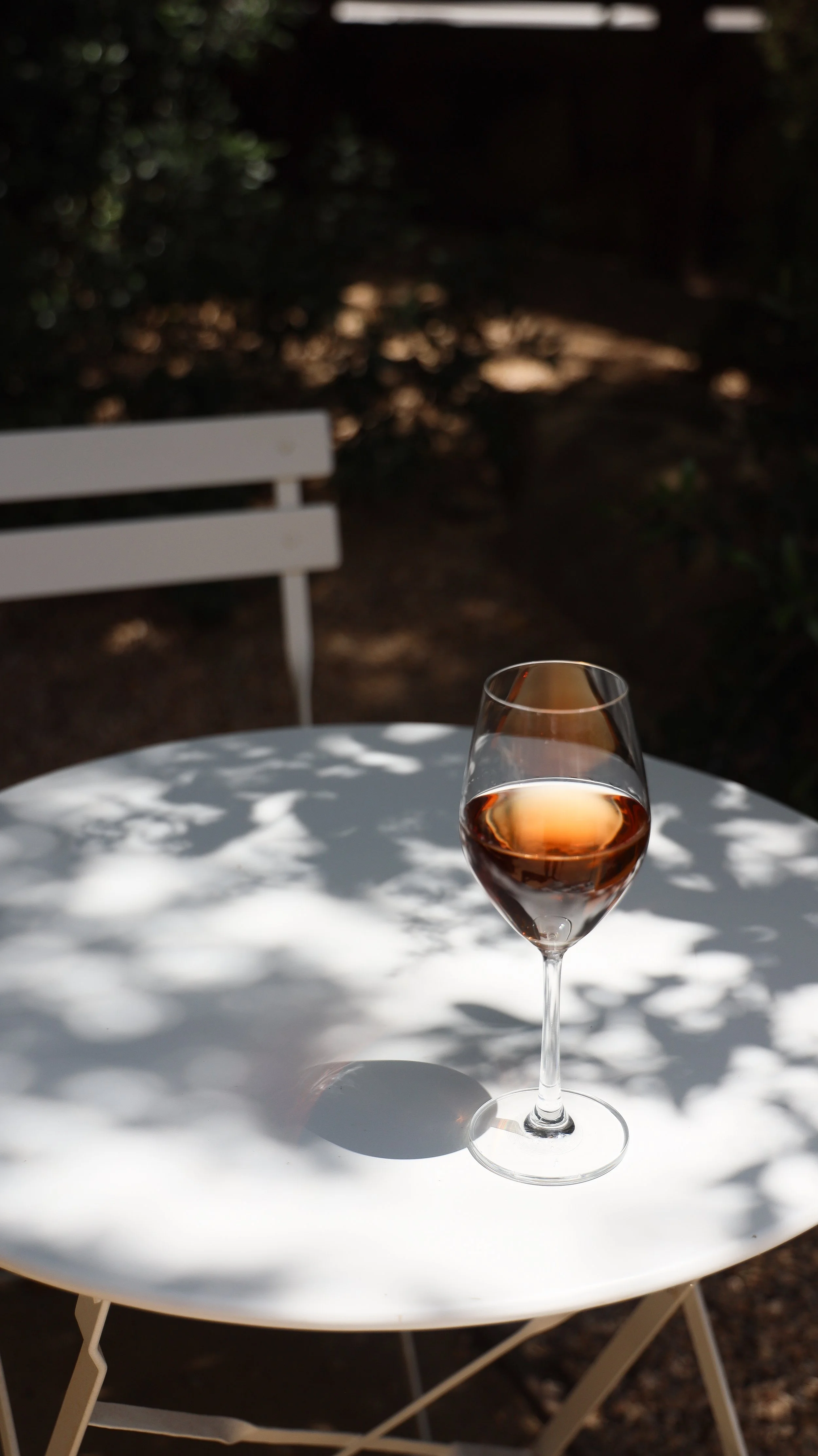 Nicole_Schmiedl_Bodega_Los Alamos-05.jpg