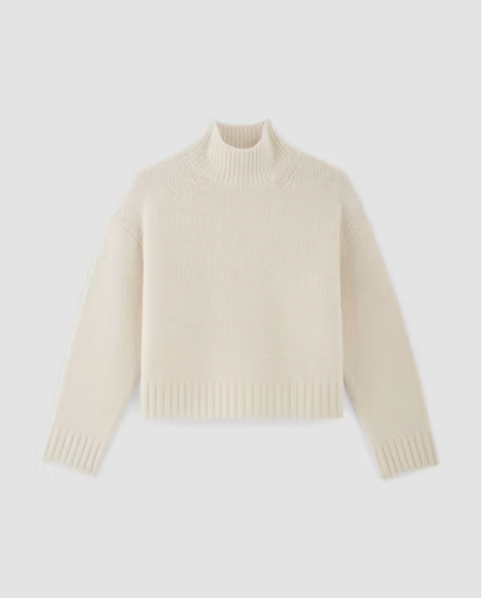 The Cloud Oversized Turtleneck
