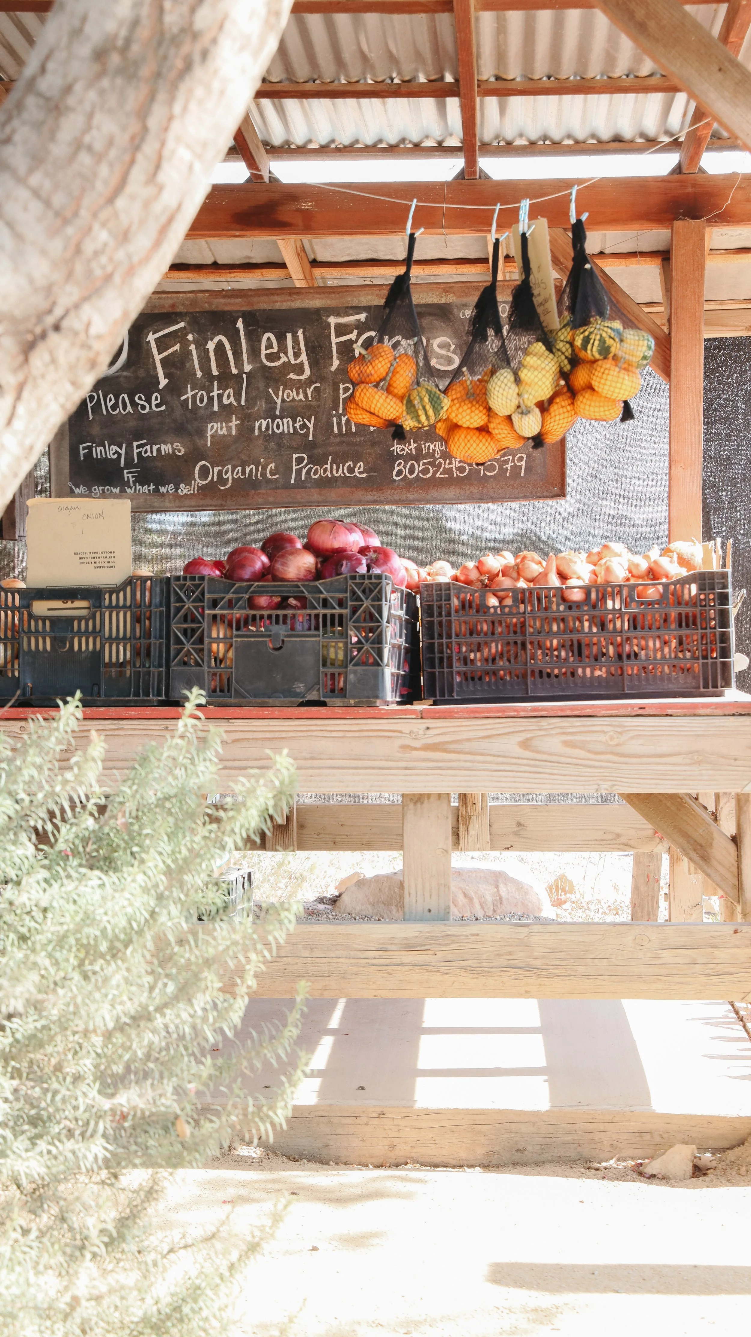 Nicole Schmiedl_Santa Ynez-6.jpg