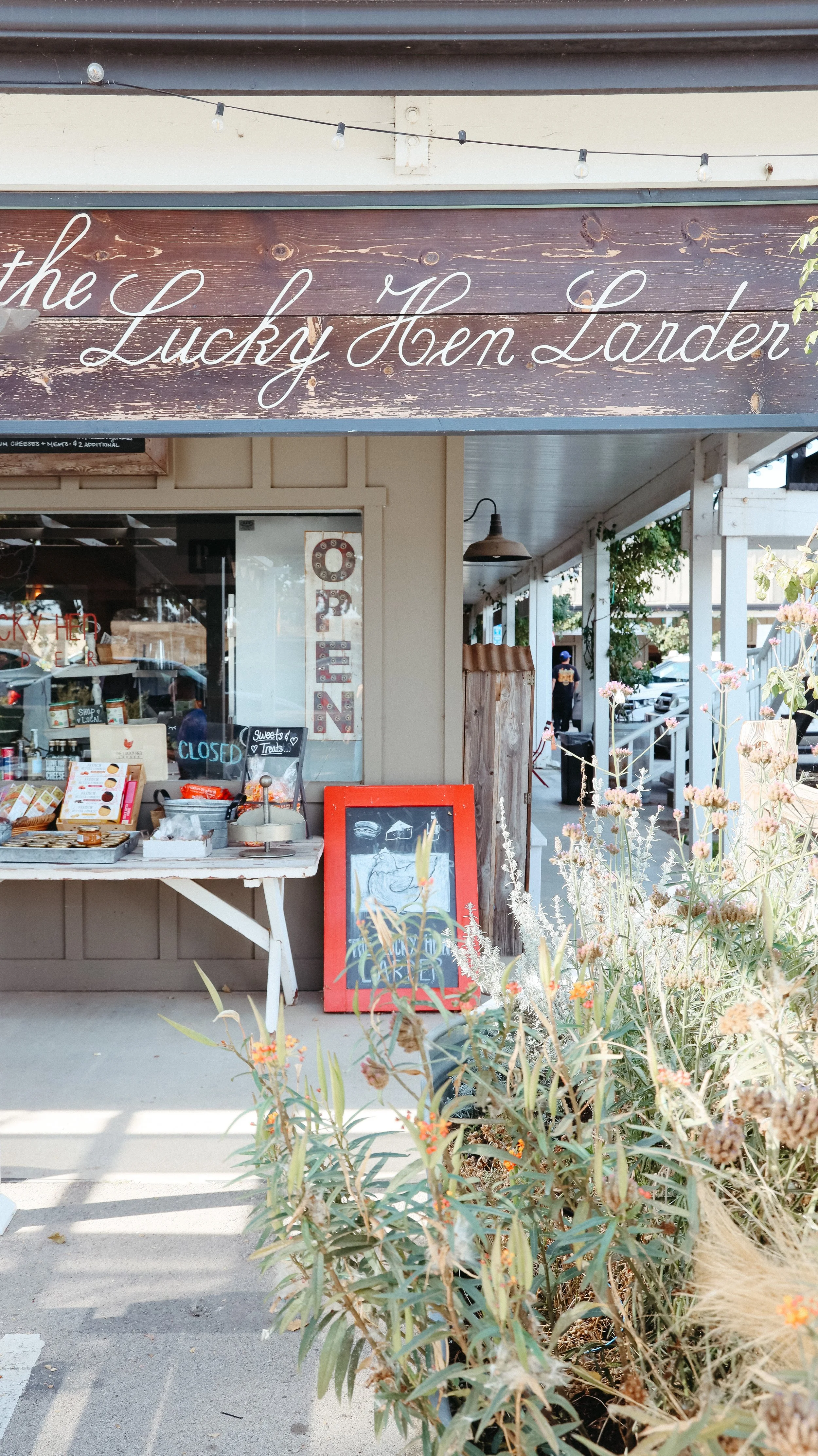 Nicole Schmiedl_Santa Ynez-1.jpg