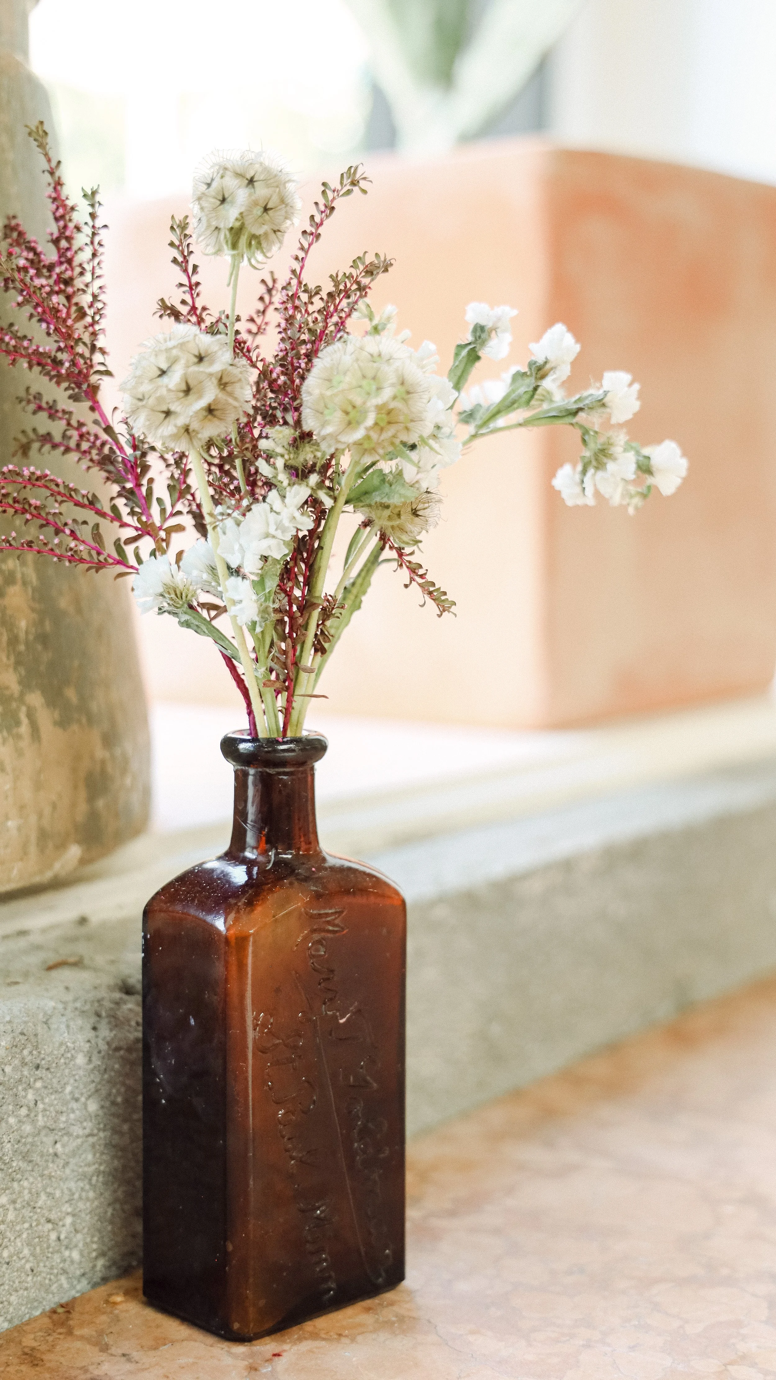 BloodRoot Wines by Nicole Schmiedl