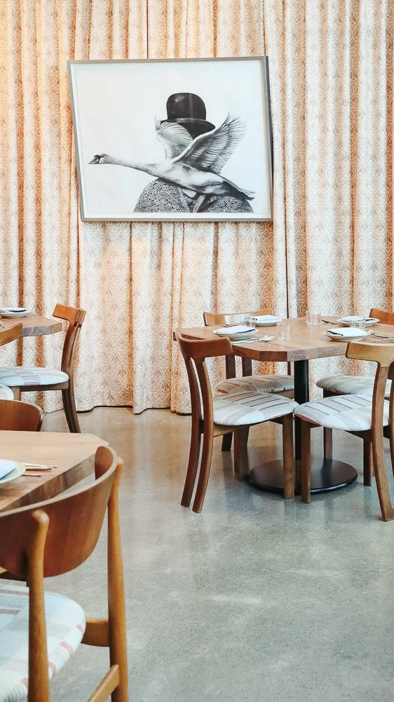 Little Saint in Healdsburg by Nicole Schmiedl
