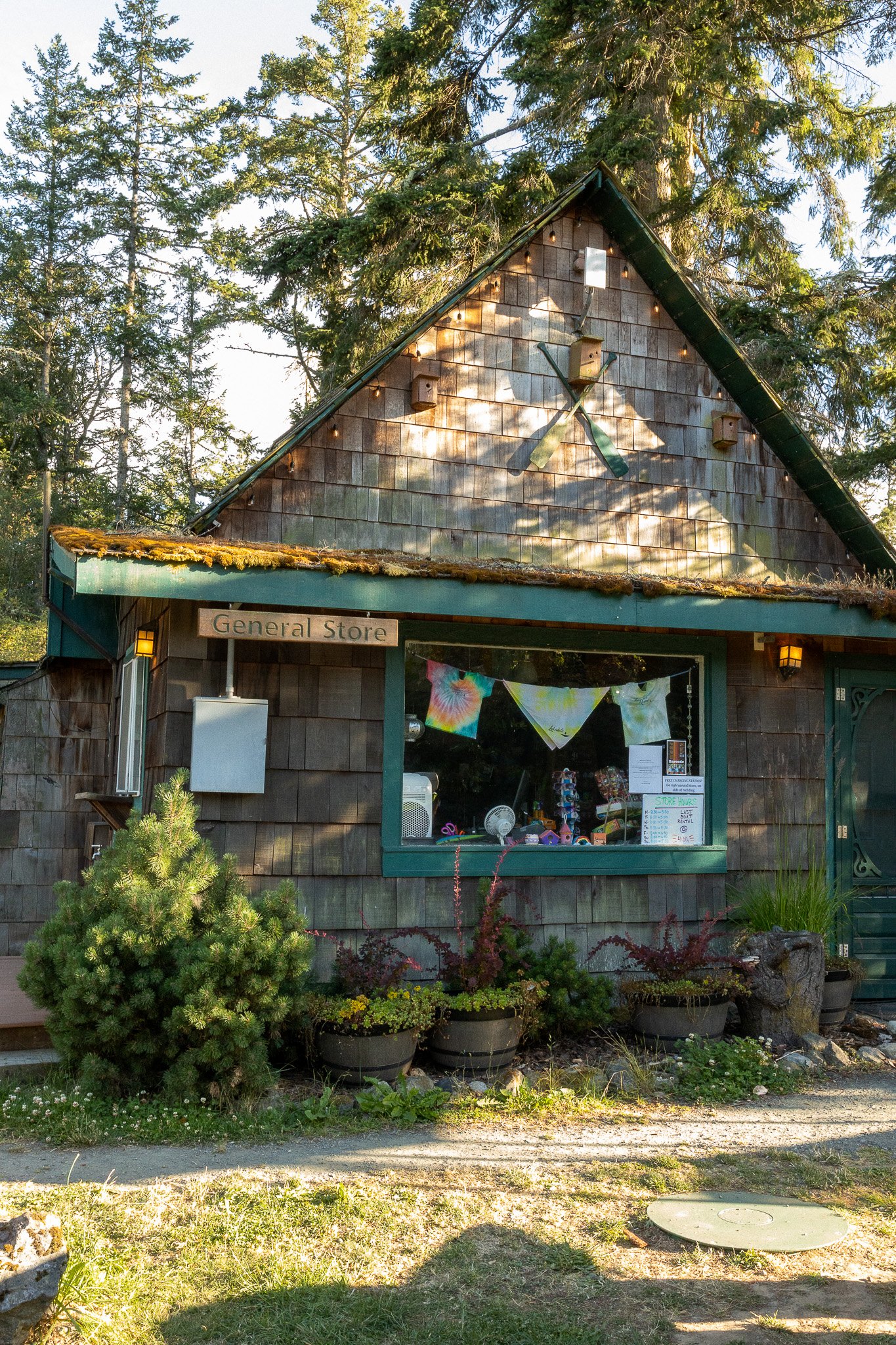 San Juan Island_Nicole Schmiedl-27.jpg