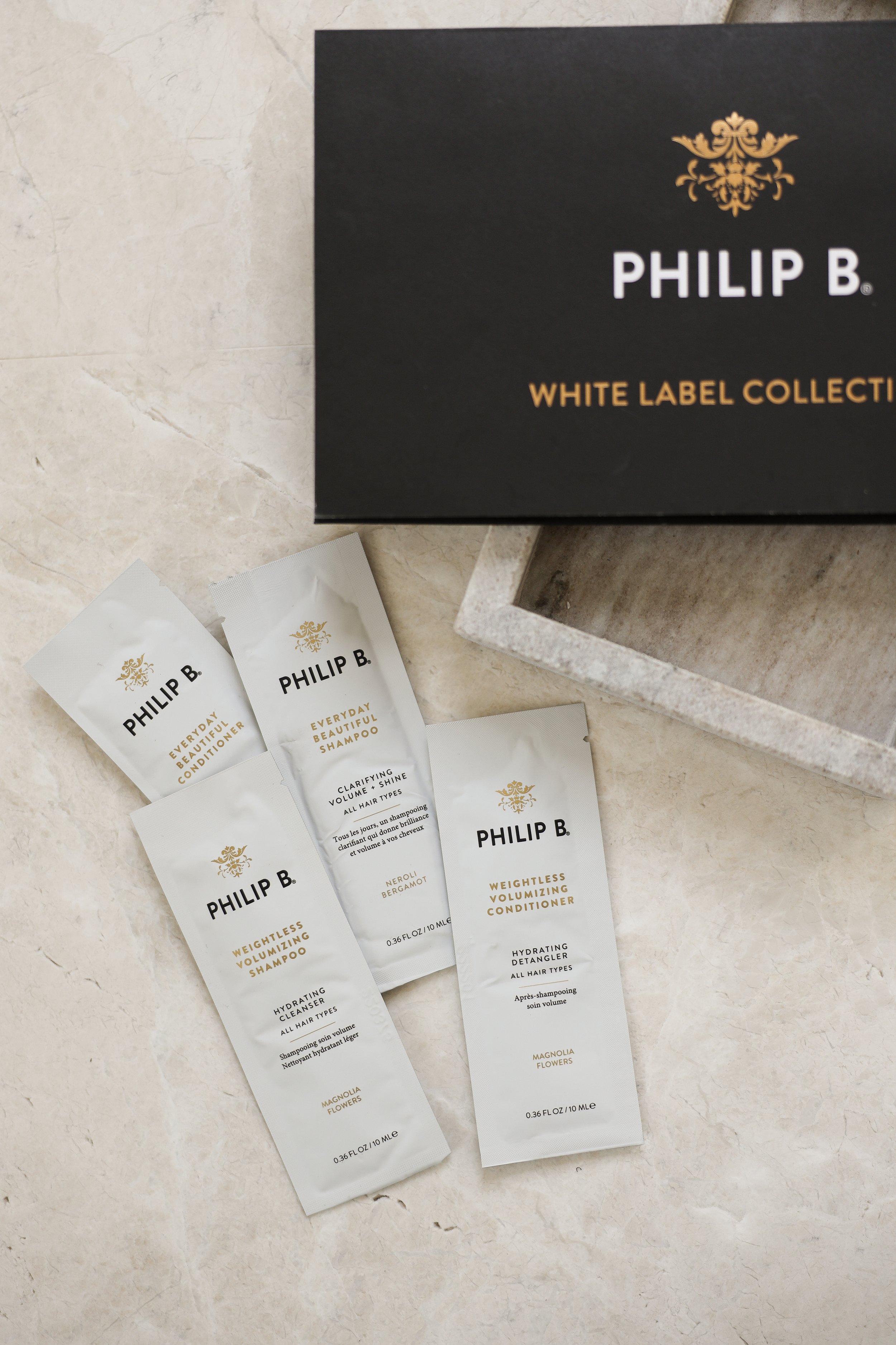Philip B by Nicole Schmiedl