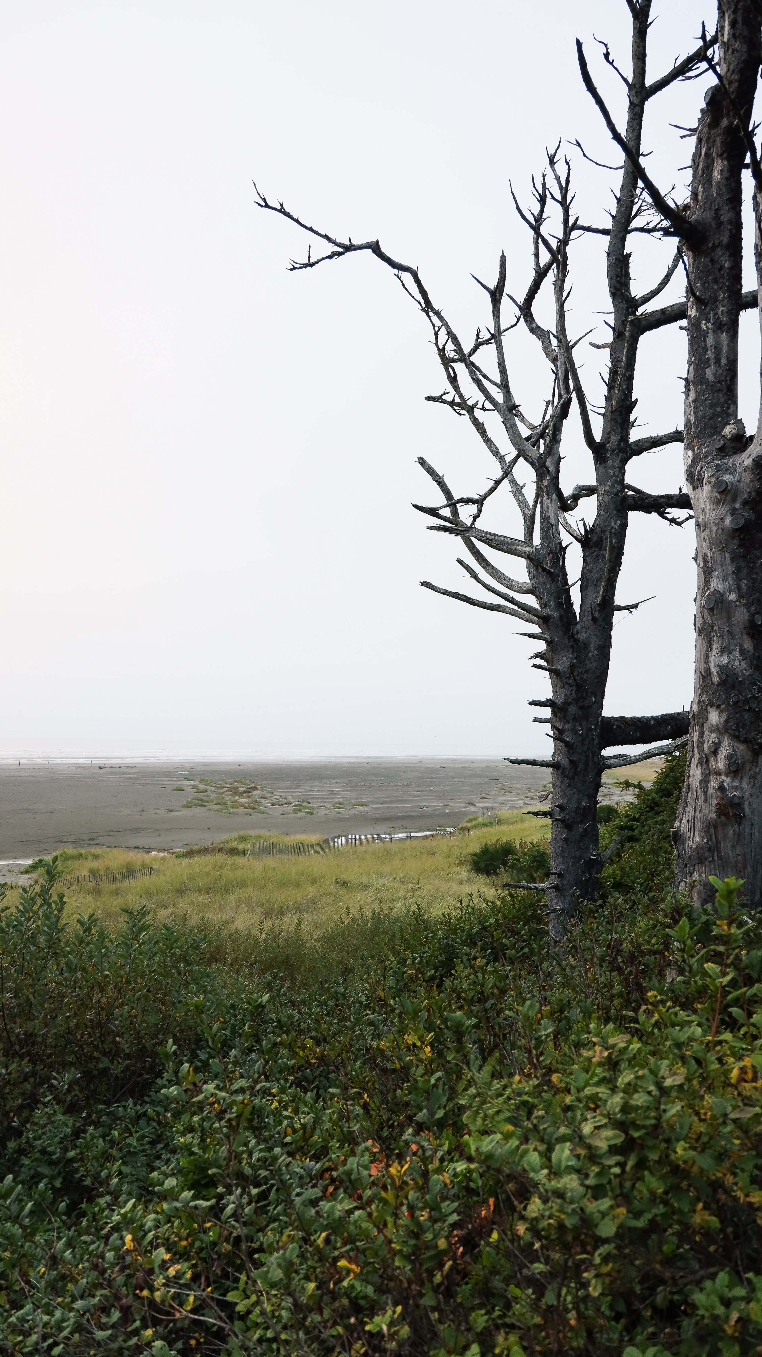 Seabrook by Nicole Schmiedl