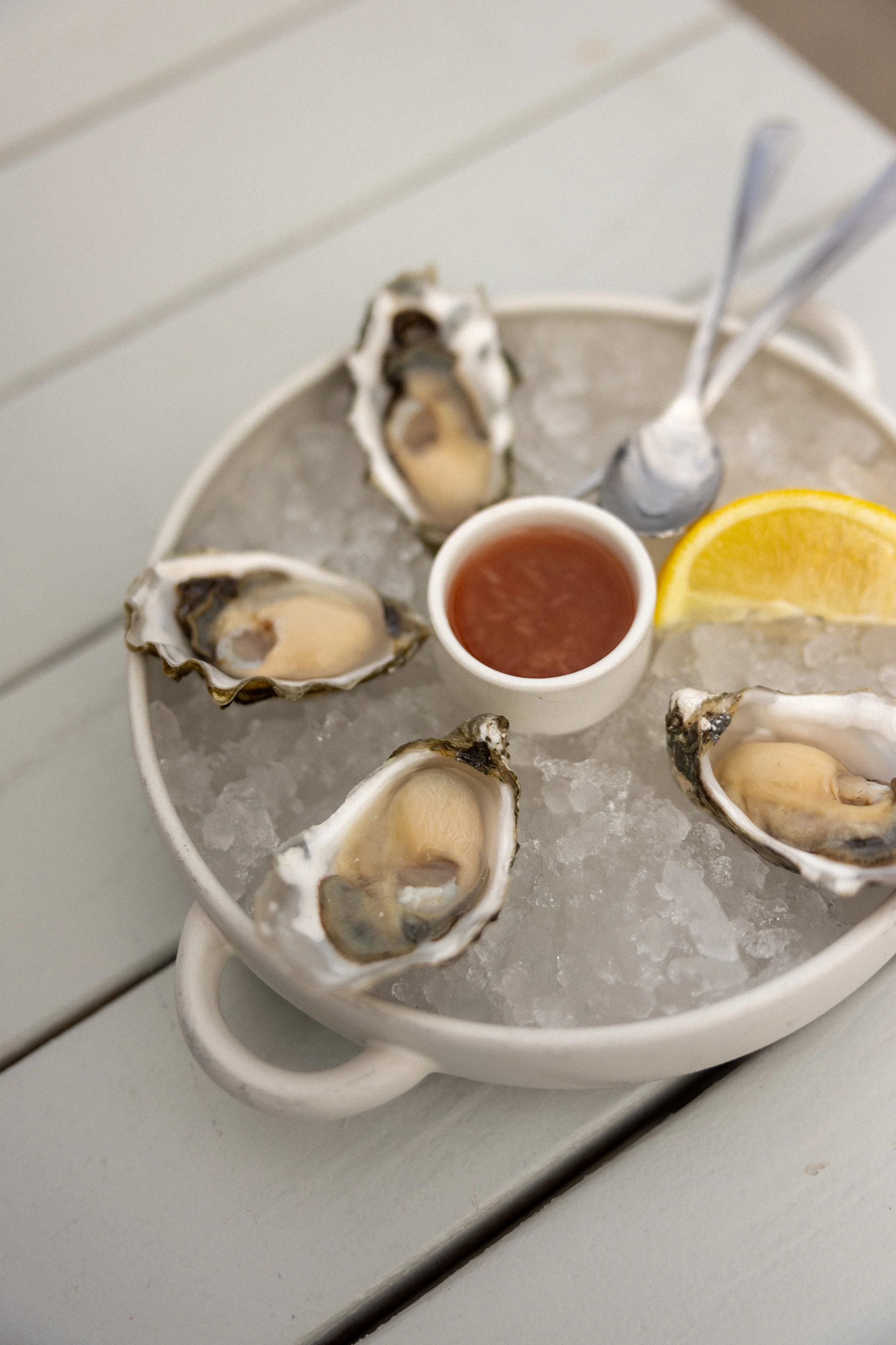Oystertale_Nicole Schmiedl Photography-10.jpg