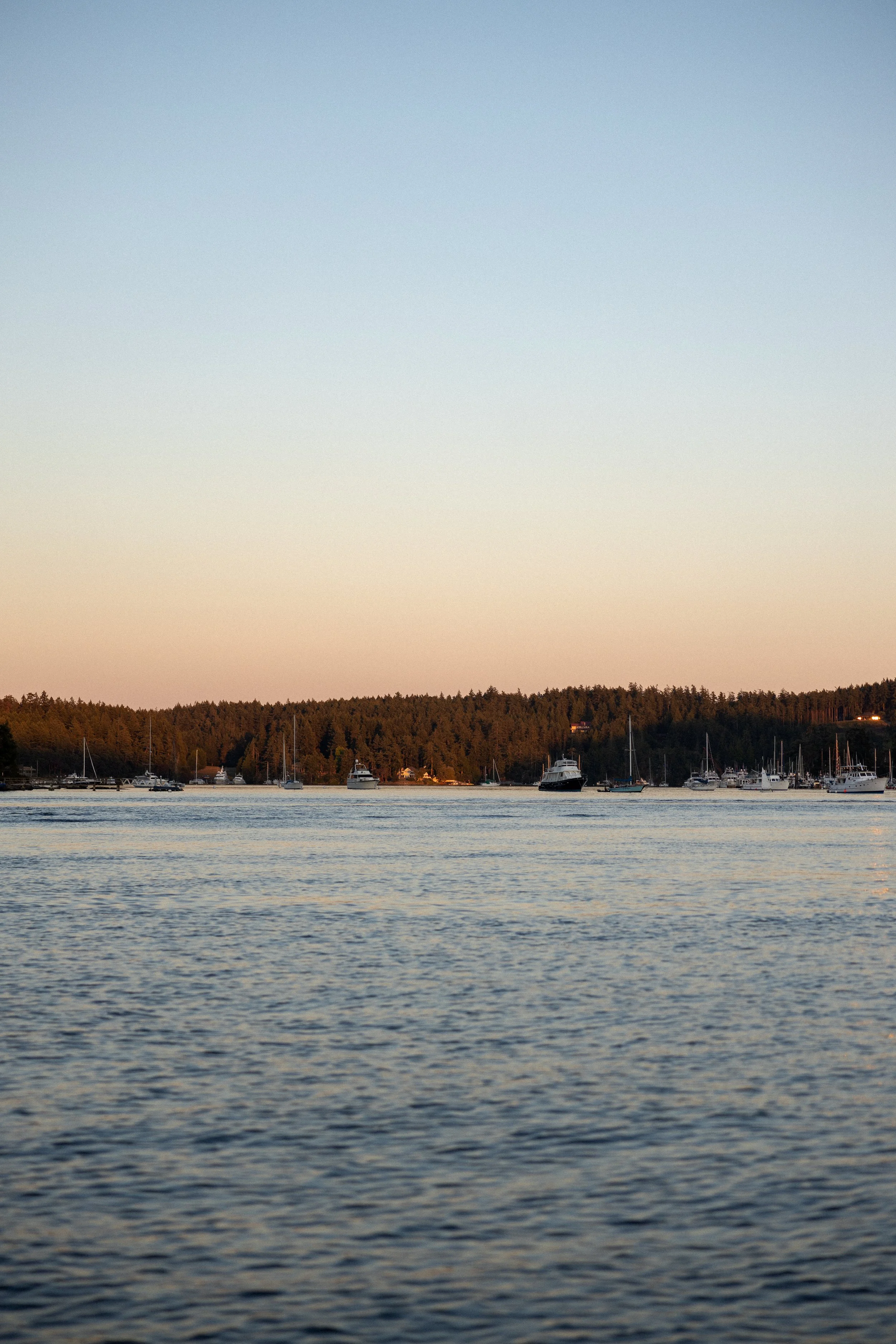 San Juan Island_Nicole Schmiedl-1.jpg