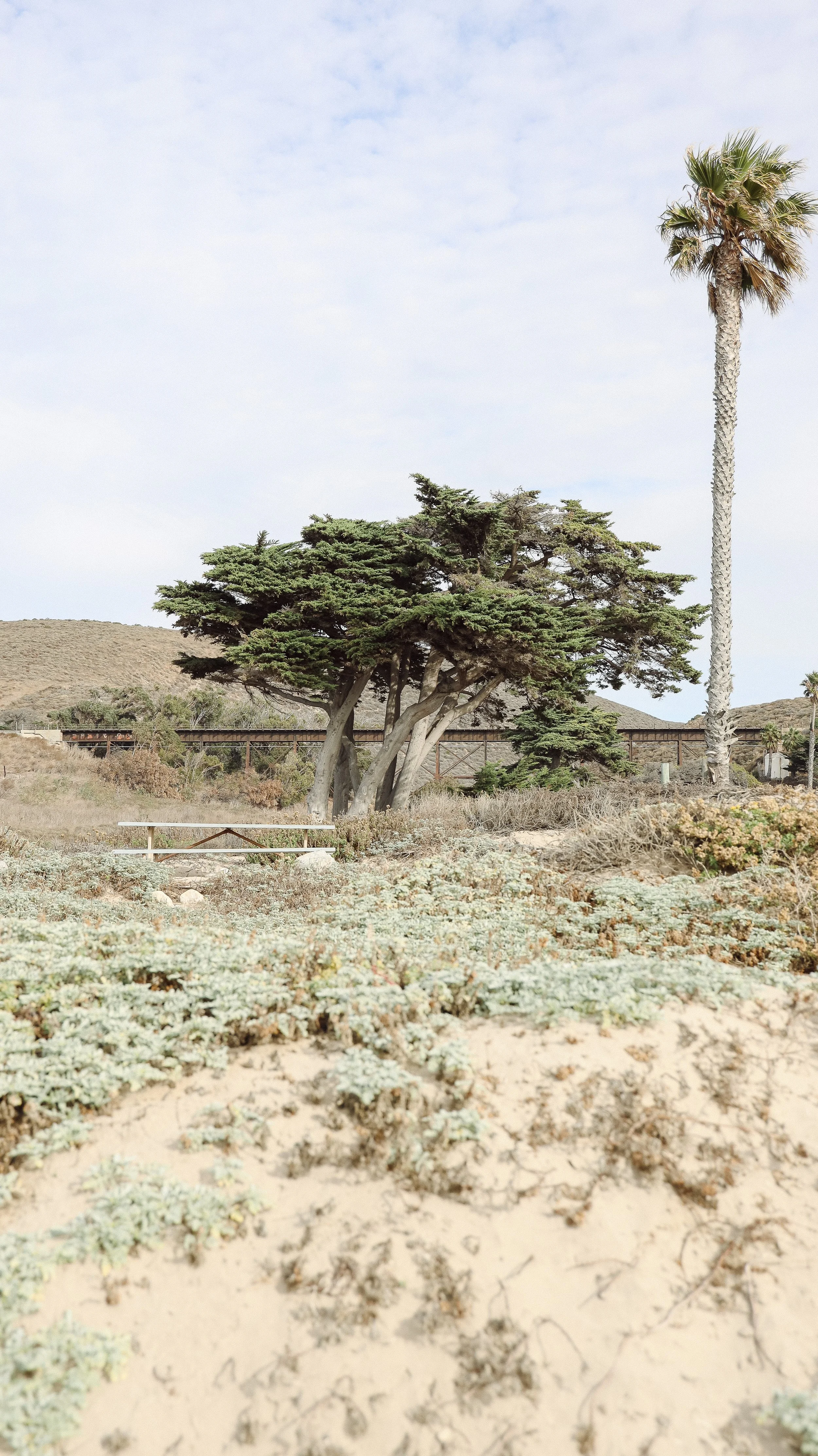 Jalama by Nicole Schmiedl