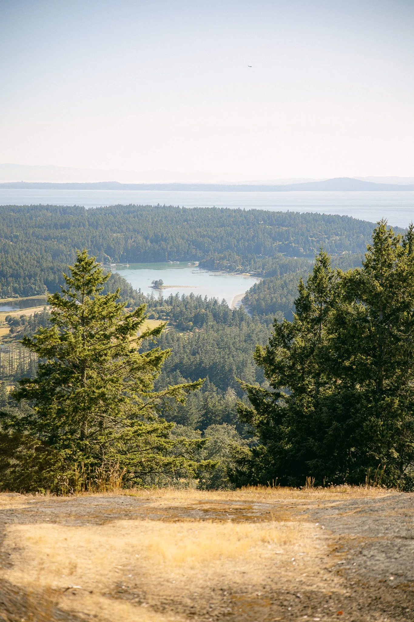 San Juan Island_Nicole Schmiedl-32.jpg