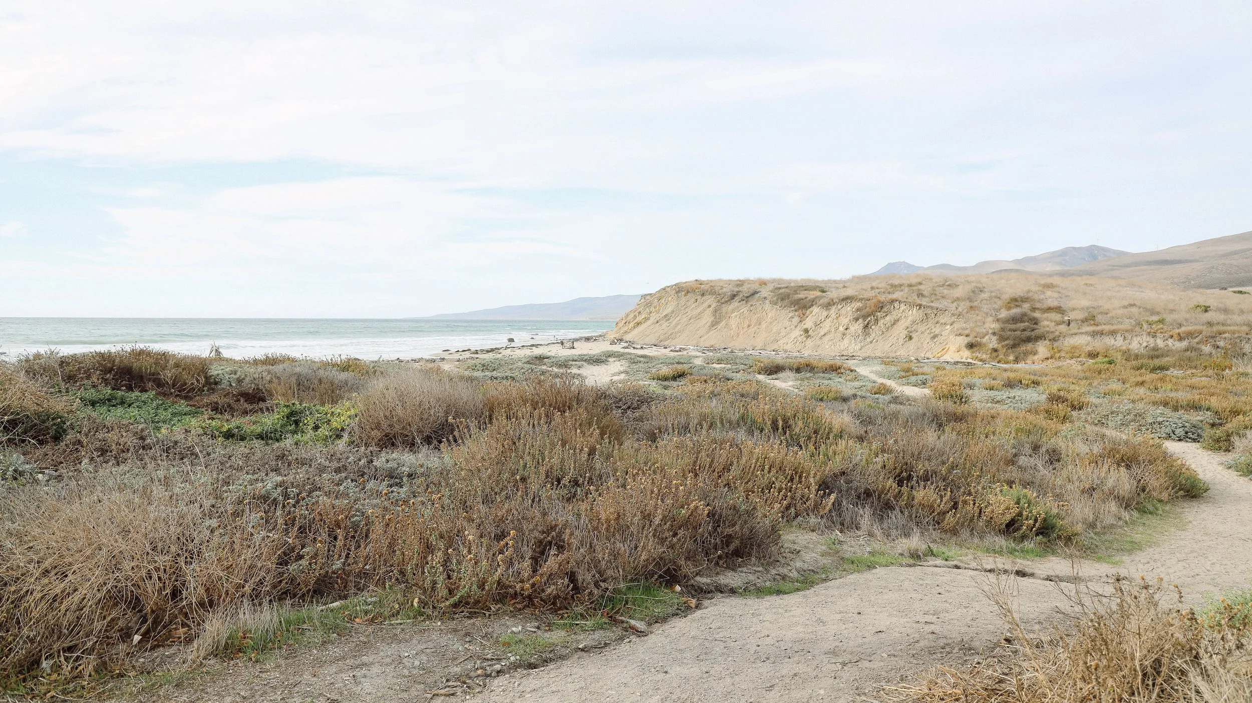 Jalama by Nicole Schmiedl