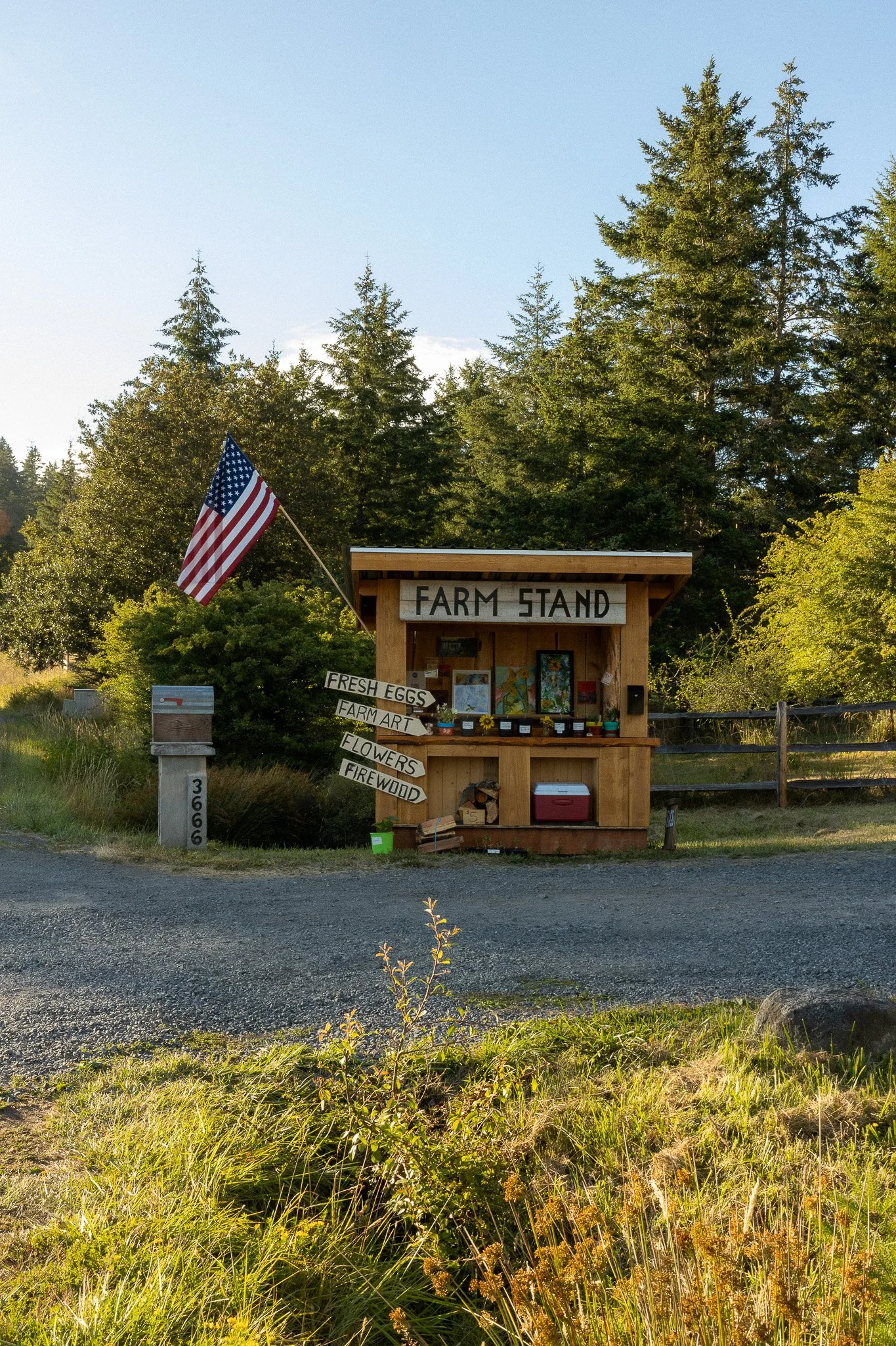 San Juan Island_Nicole Schmiedl-29.jpg