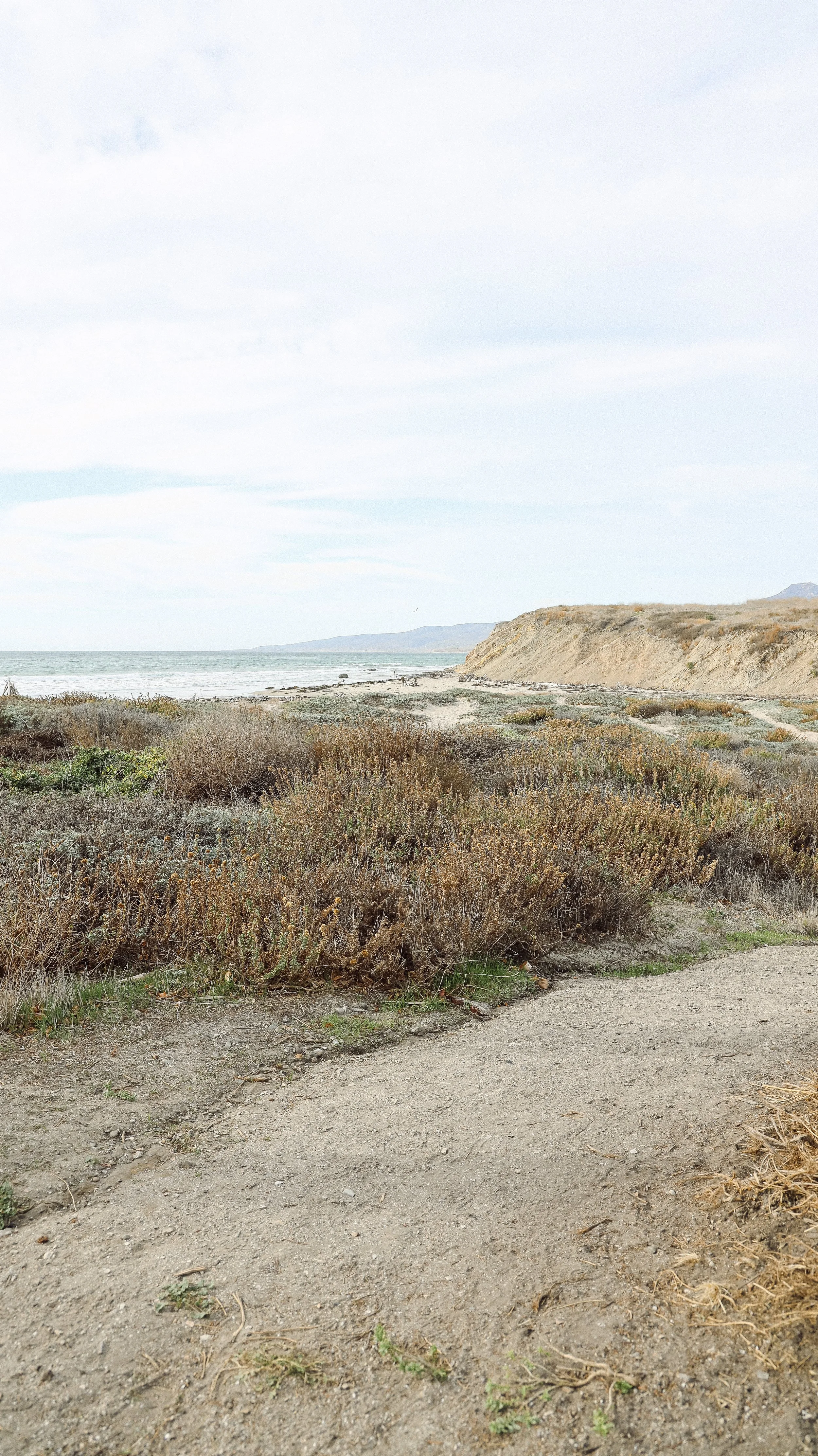 Jalama by Nicole Schmiedl