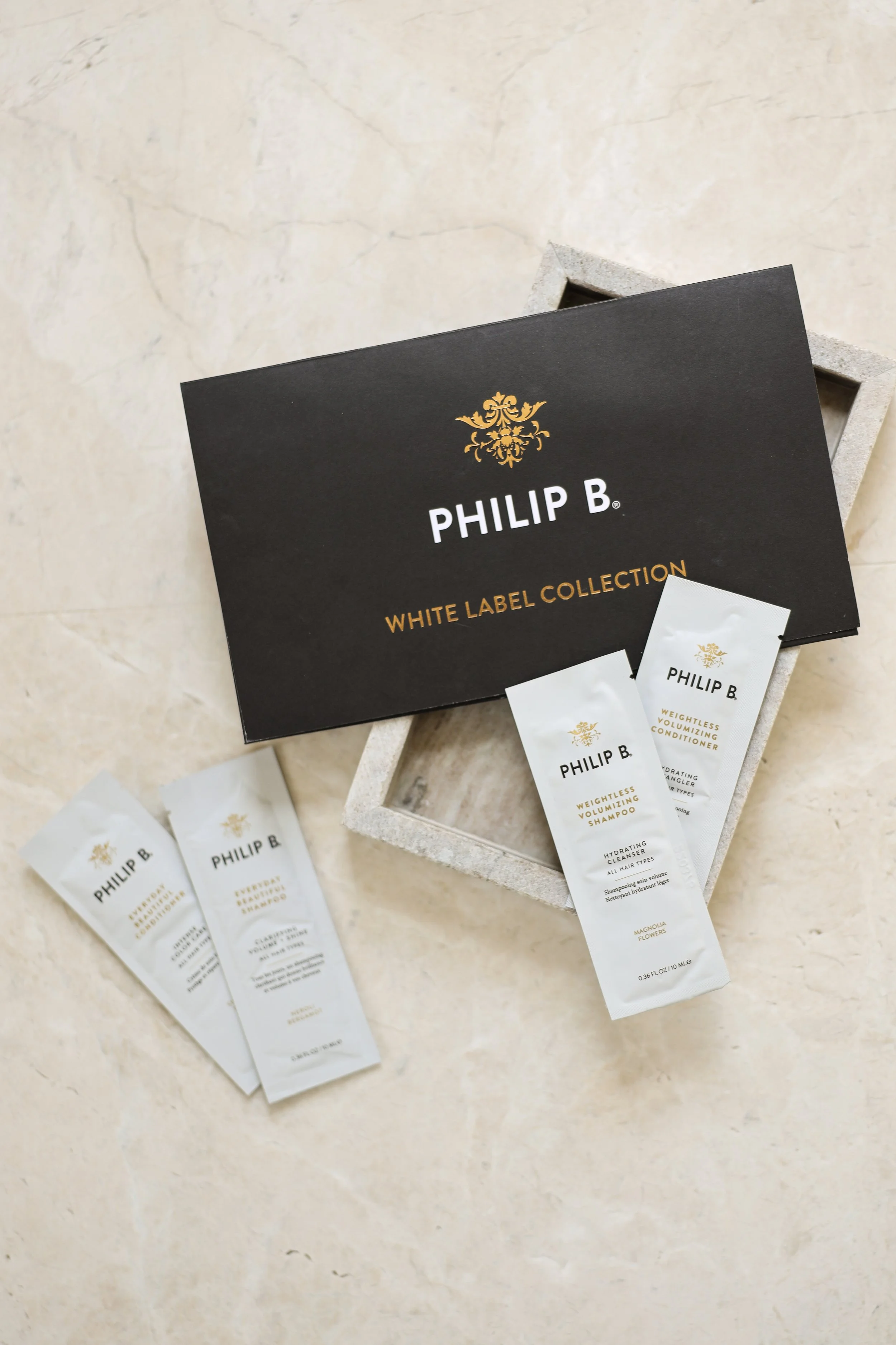 Philip B by Nicole Schmiedl