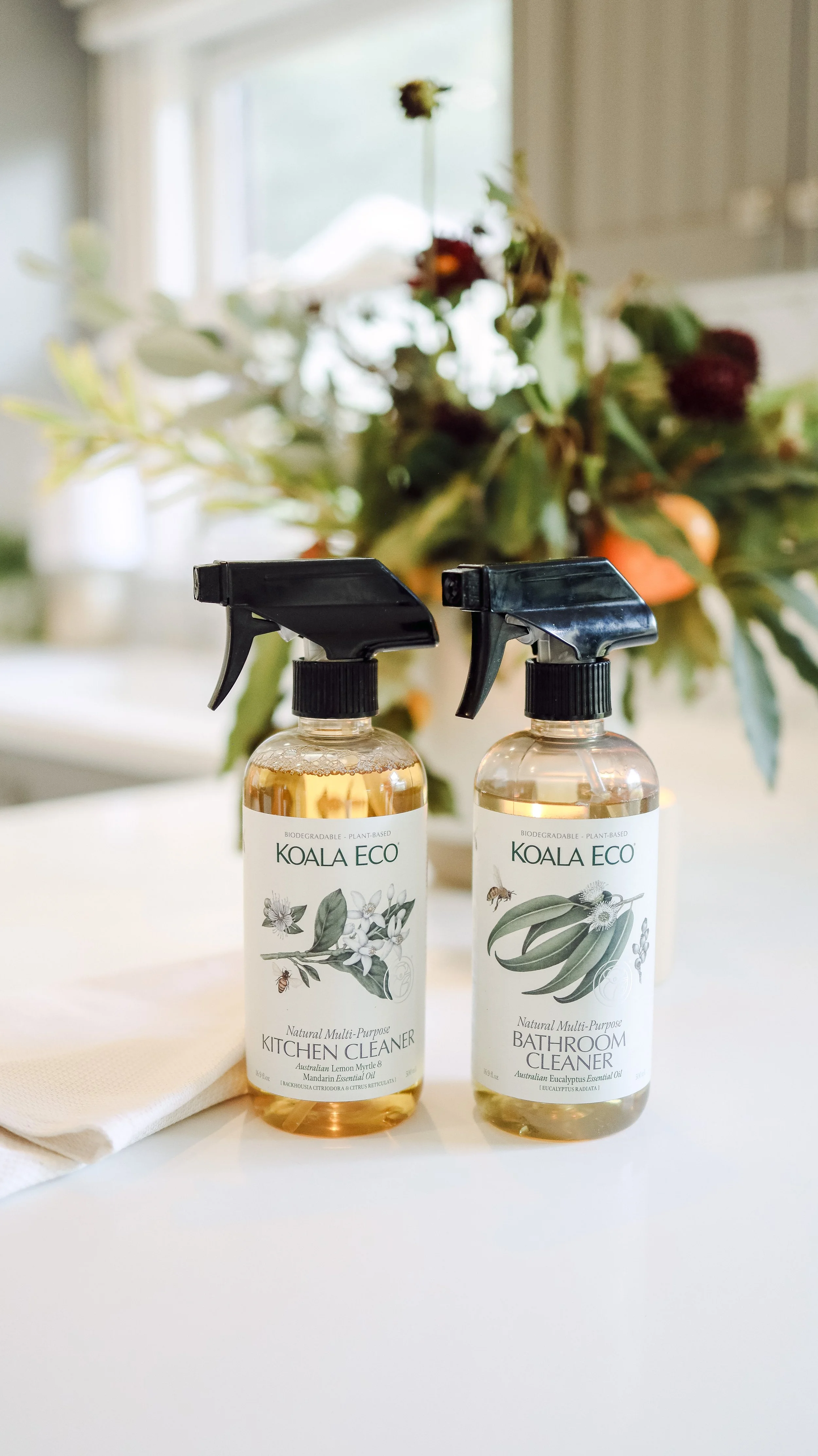 Koala Eco by Nicole Schmiedl
