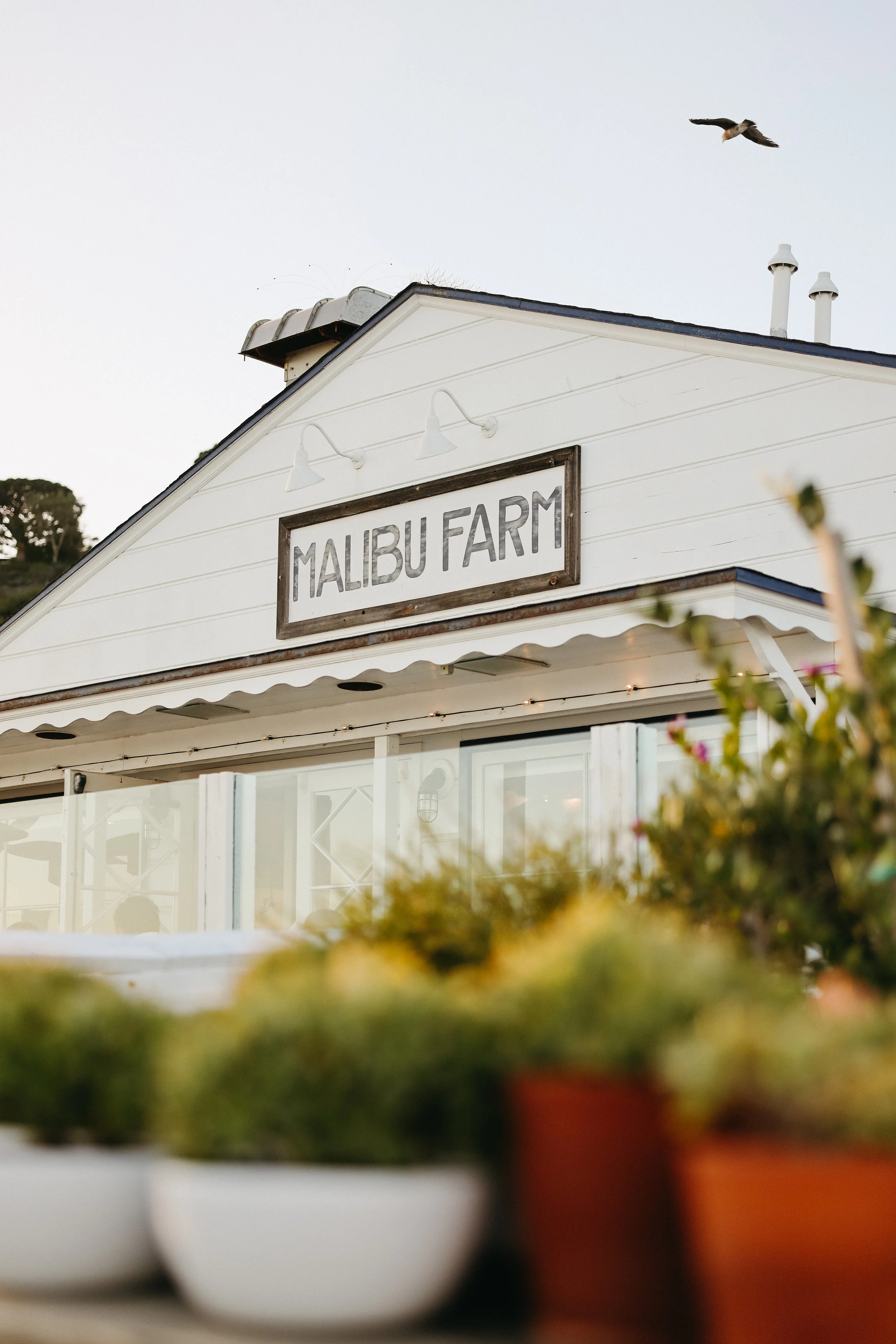 Malibu Farms by Nicole Schmiedl