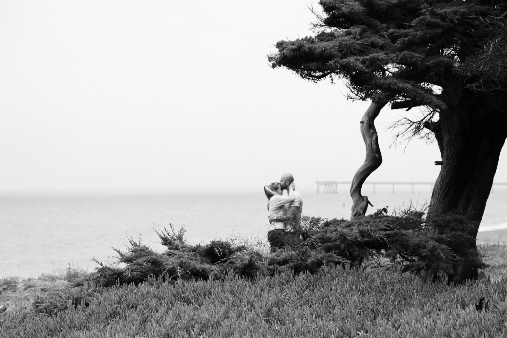 Harris Googe and Tulio Lenzi Da Silveira by Nicole Schmiedl 