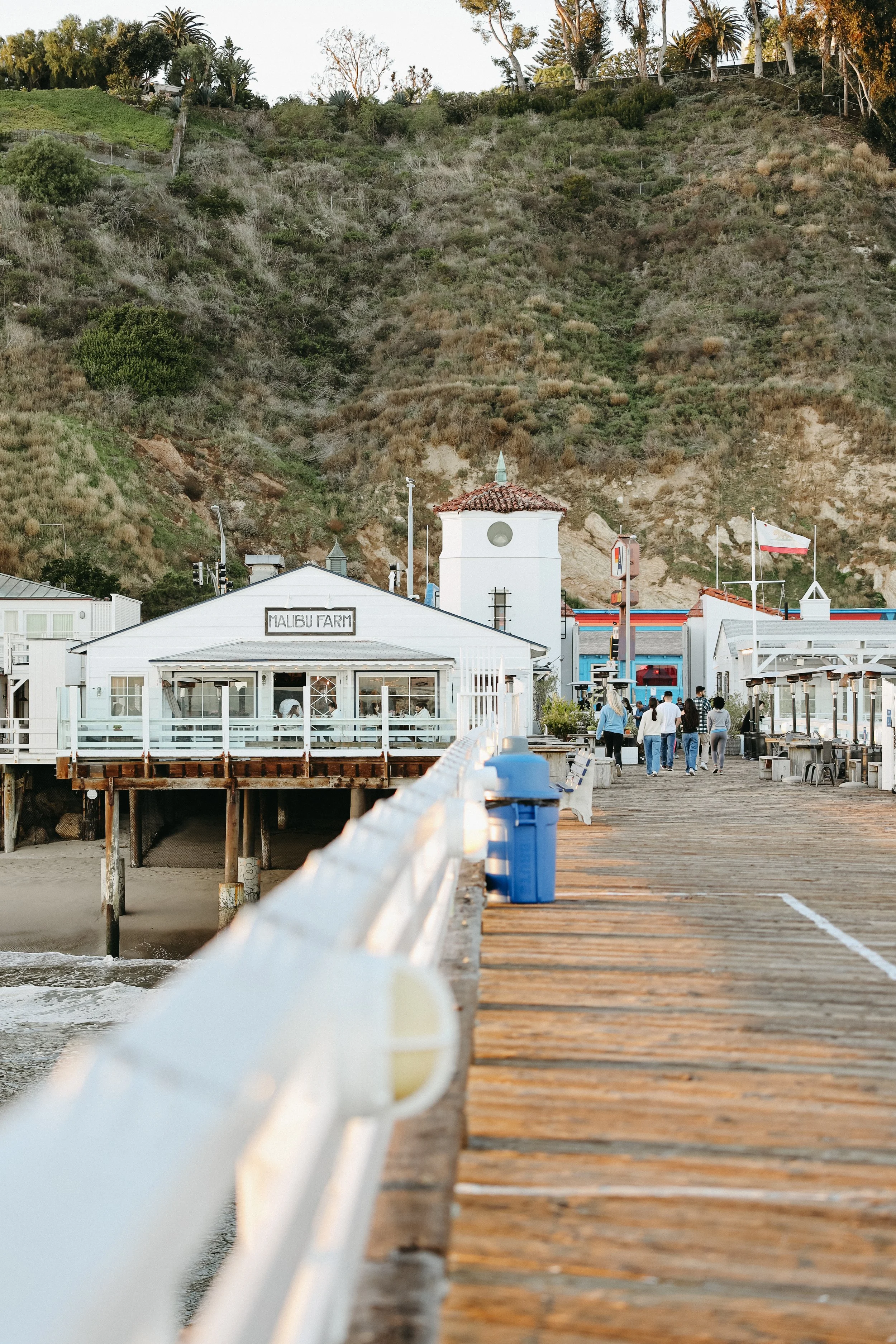 Malibu Farms by Nicole Schmiedl