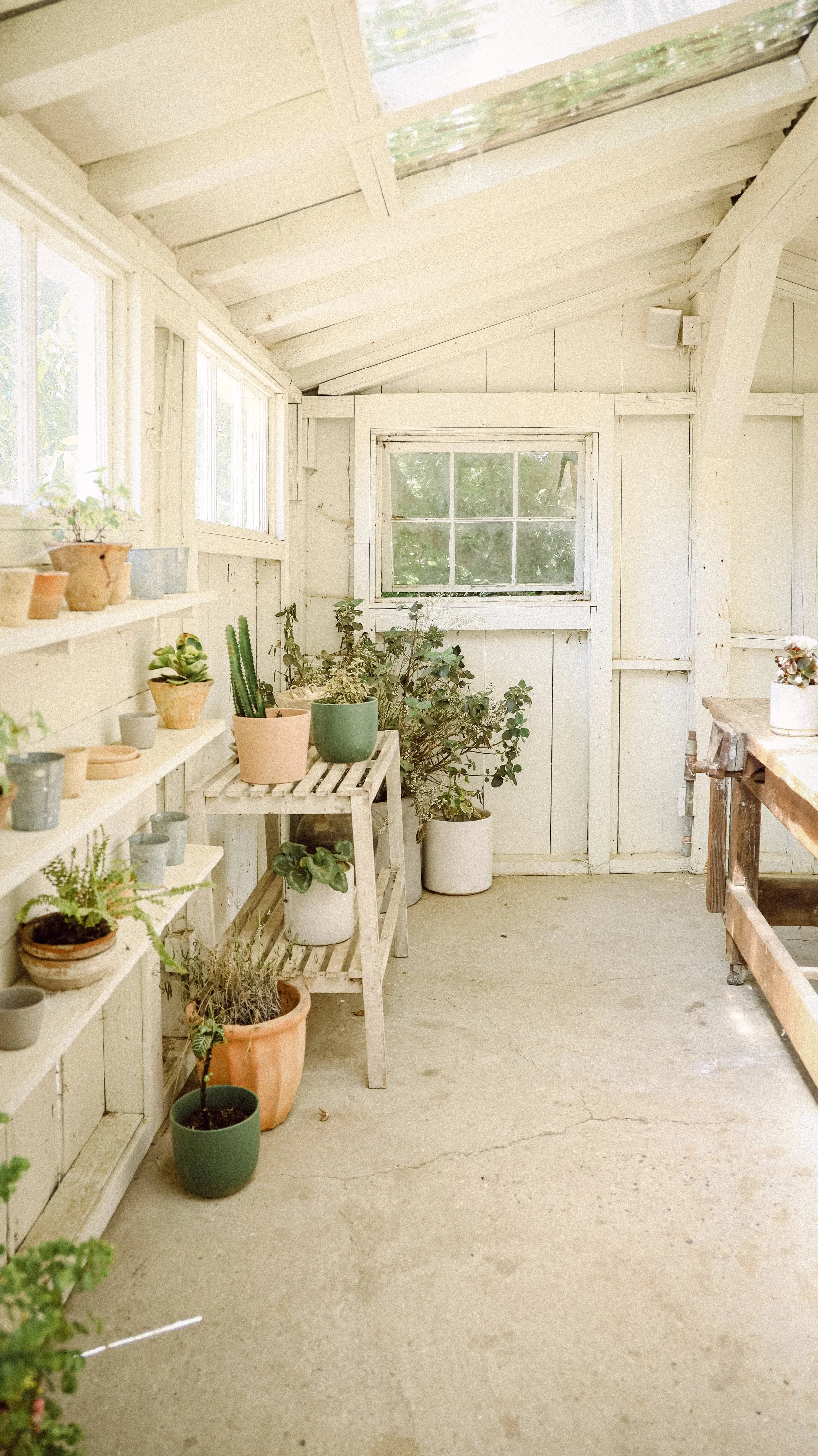 Bodega Los Alamos by Nicole Schmiedl 