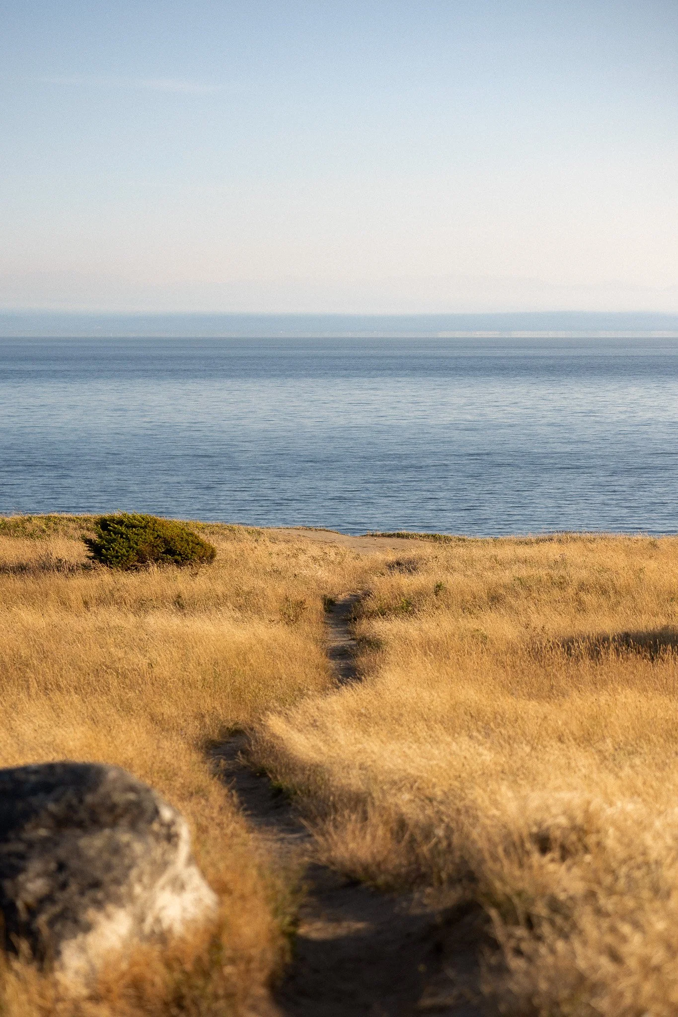 San Juan Island_Nicole Schmiedl-20.jpg