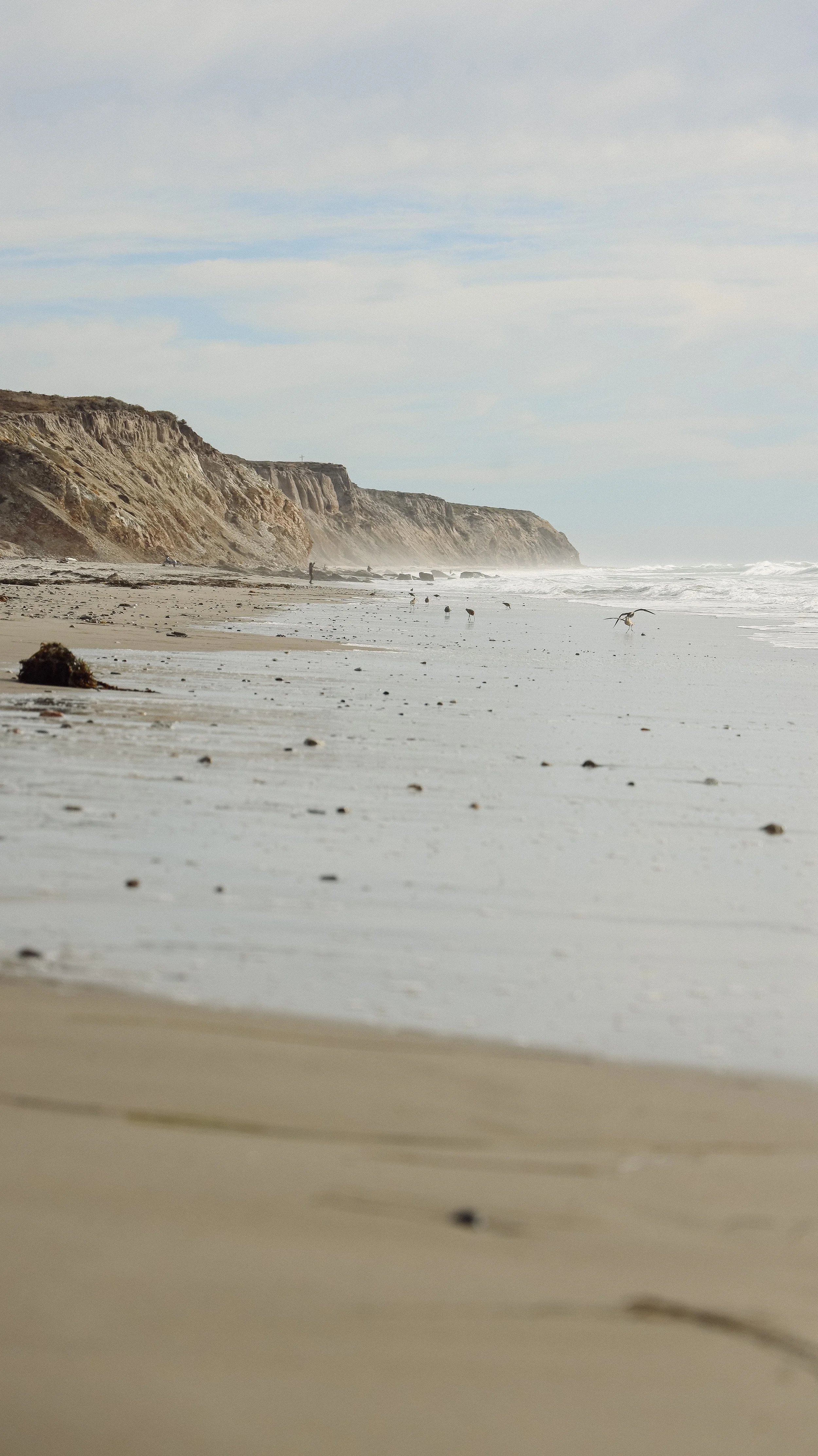 Jalama by Nicole Schmiedl