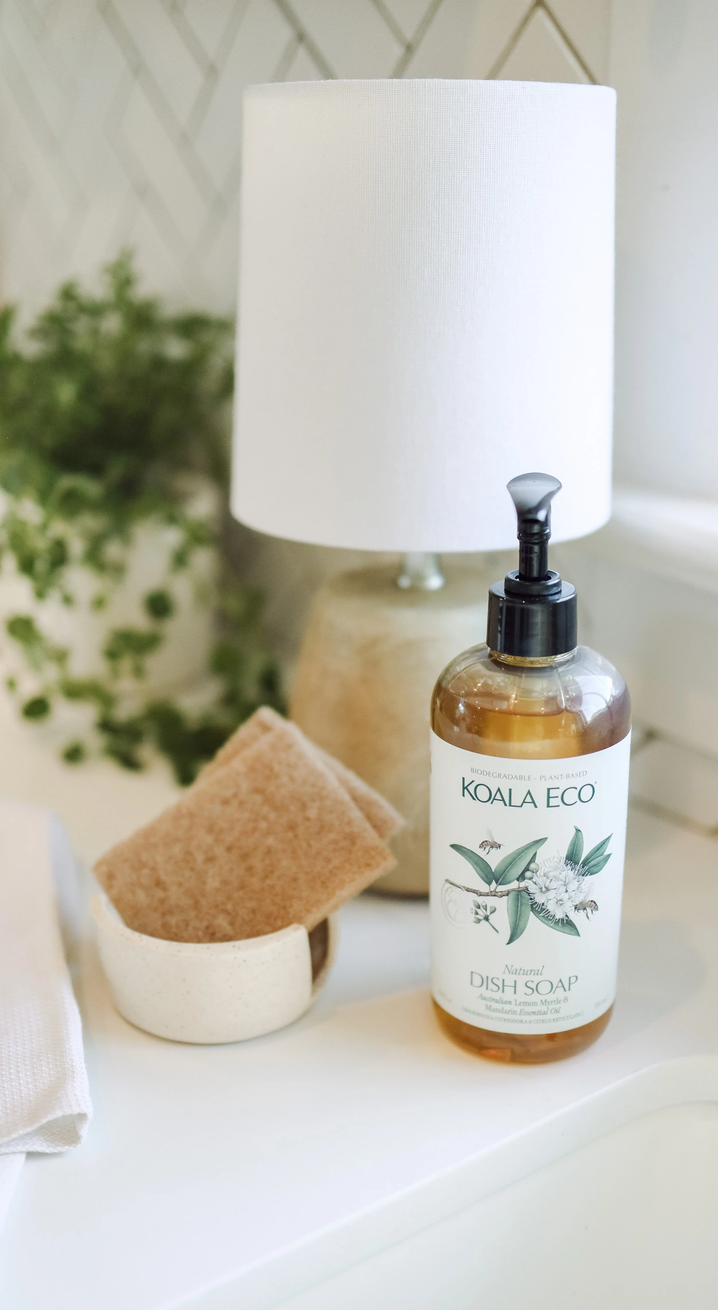 Koala Eco by Nicole Schmiedl