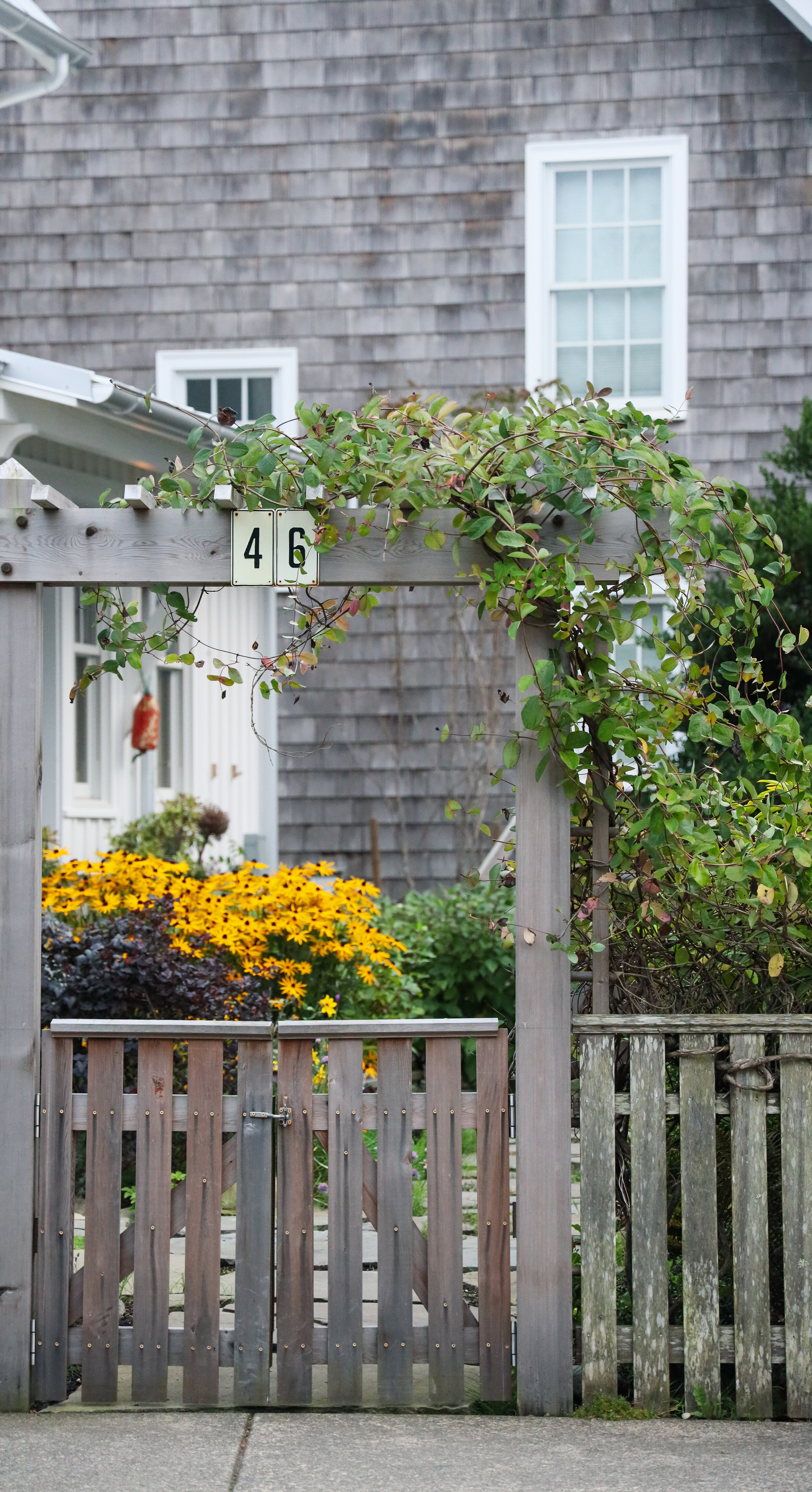 Seabrook by Nicole Schmiedl