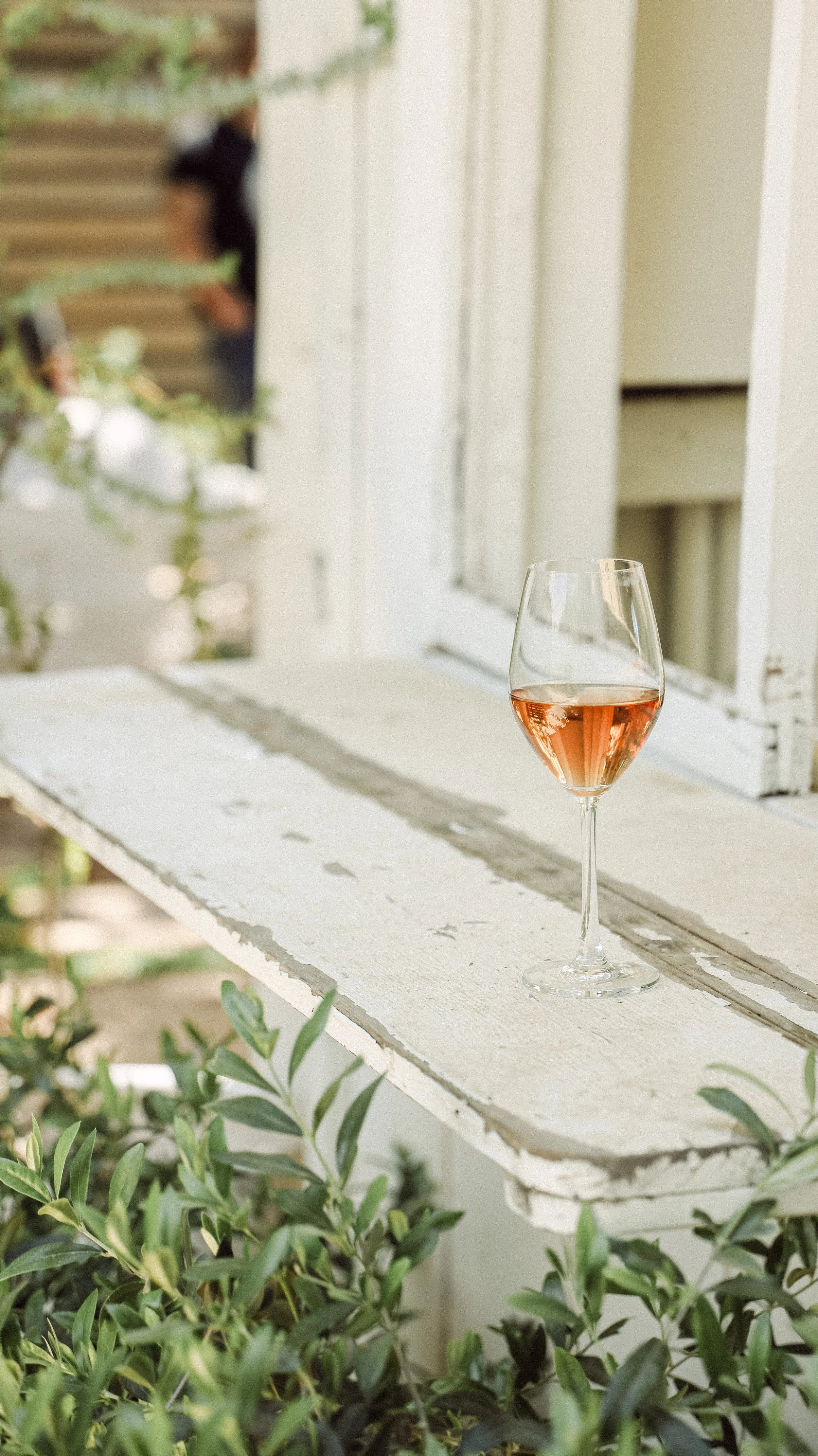 Bodega Los Alamos by Nicole Schmiedl 