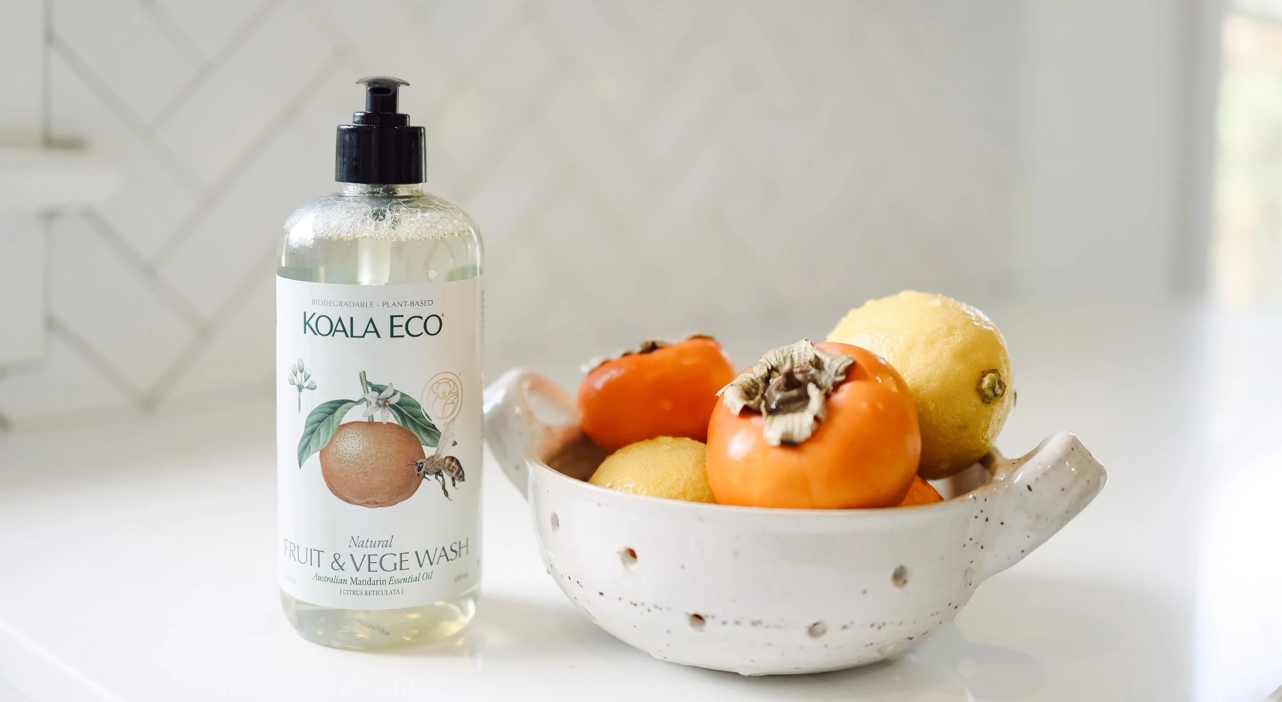 Koala Eco by Nicole Schmiedl