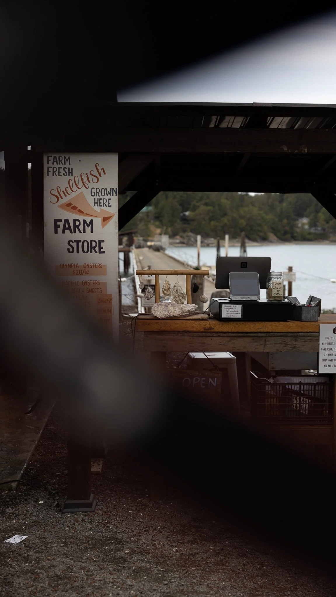 San Juan Island_Nicole Schmiedl-36.jpg