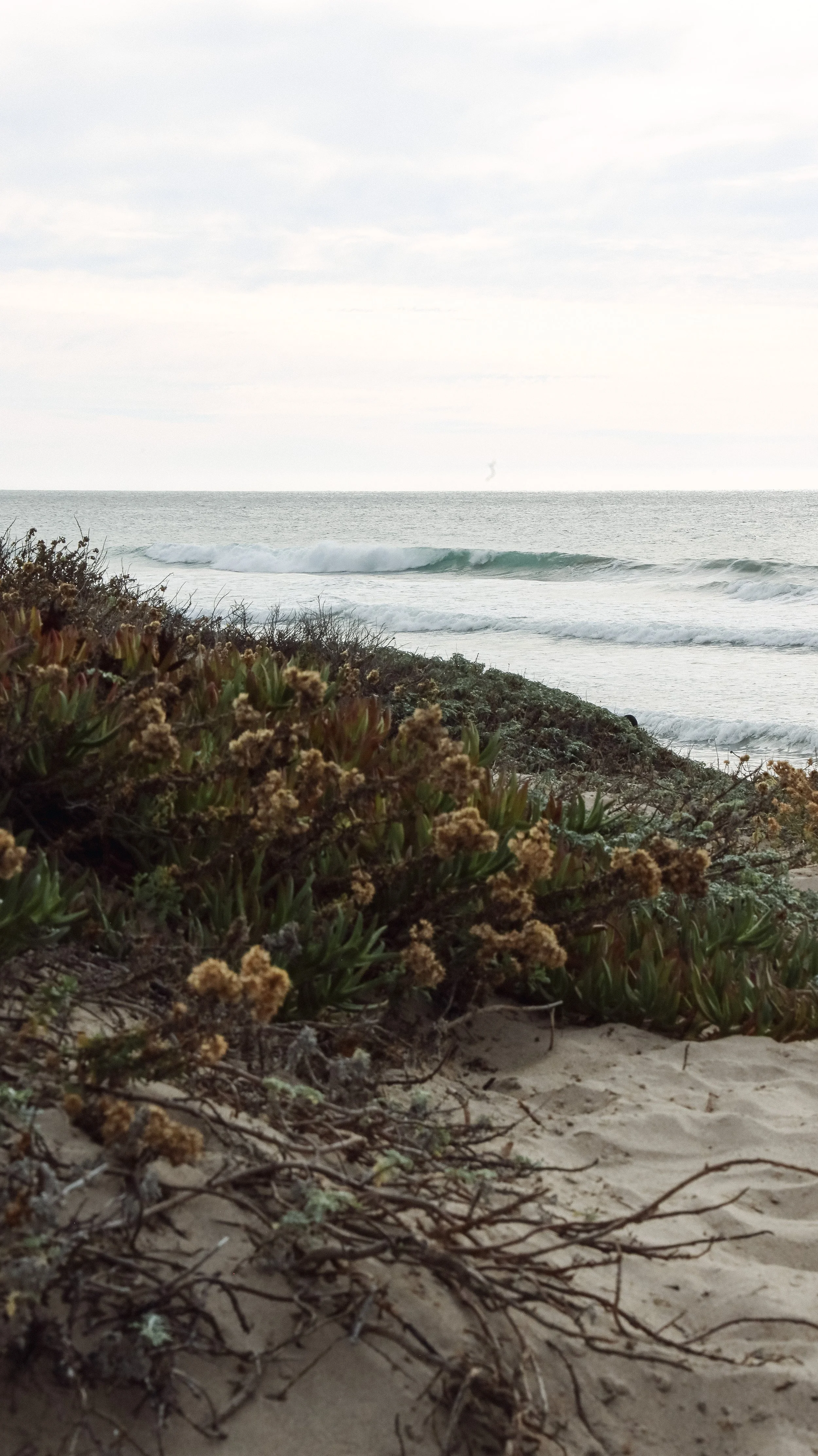 JalamJalama by Nicole Schmiedla by Nicole Schmiedl