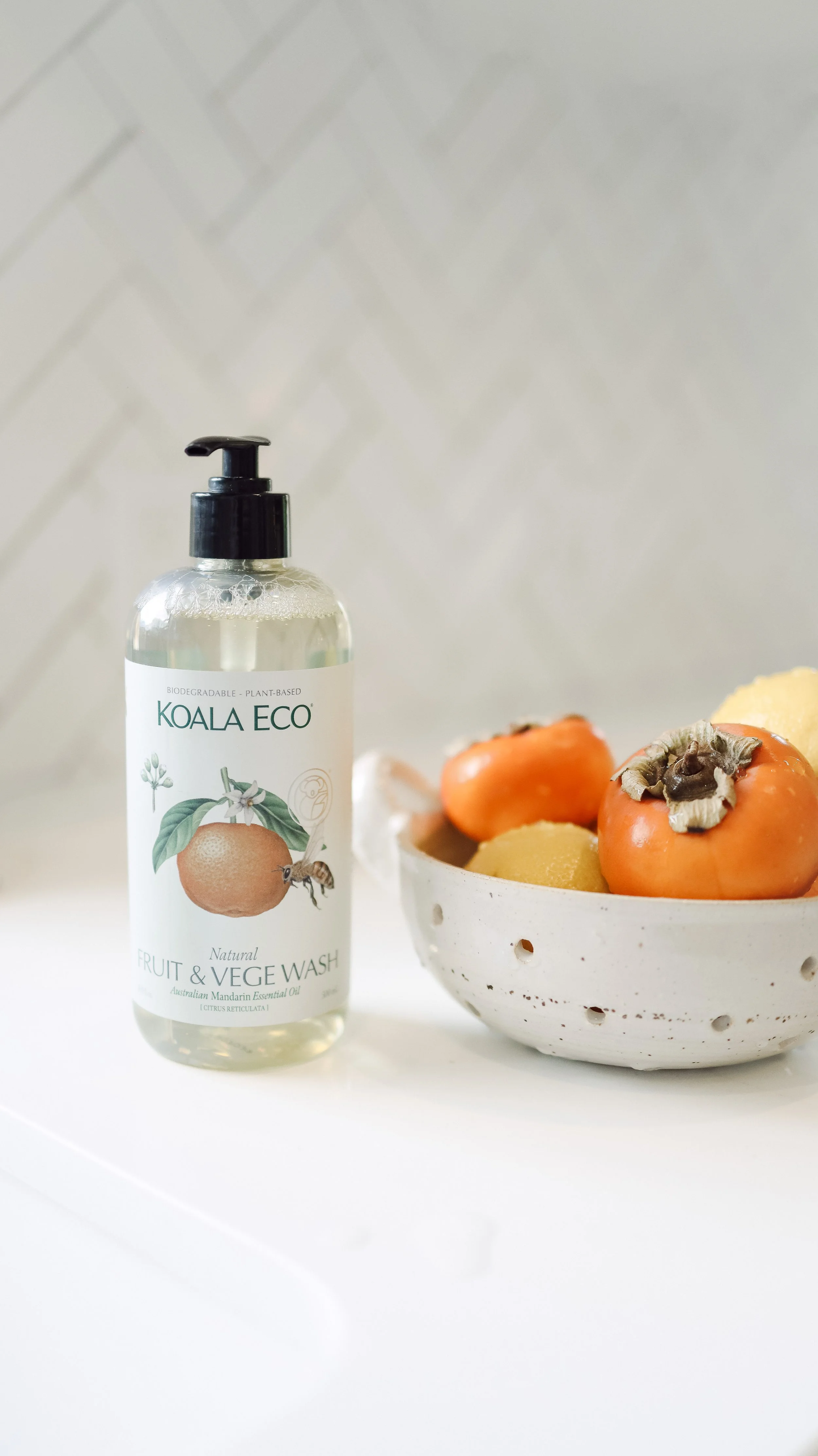 Koala Eco_Nicole Schmiedl-12.jpg