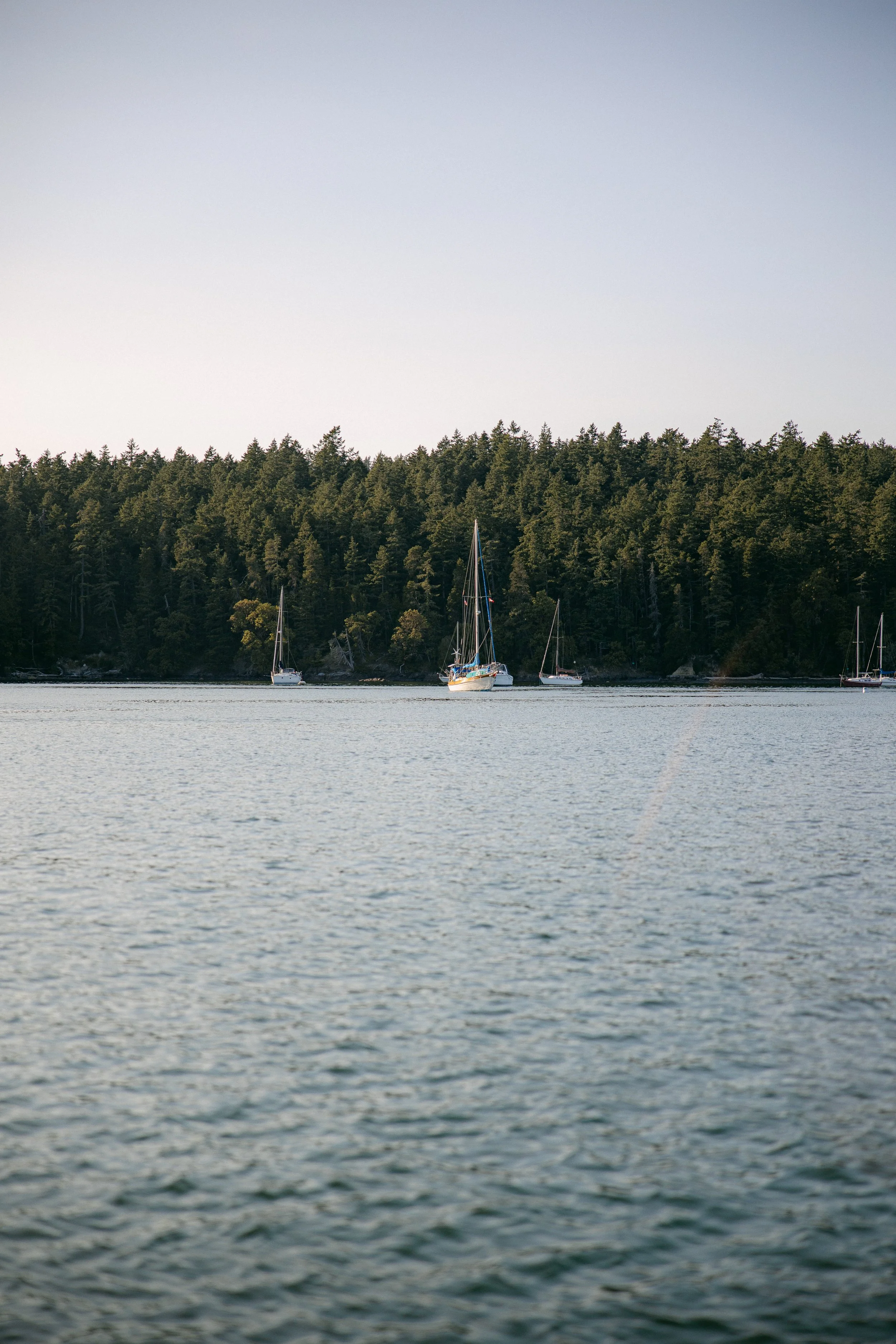 San Juan Island_Nicole Schmiedl-2.jpg