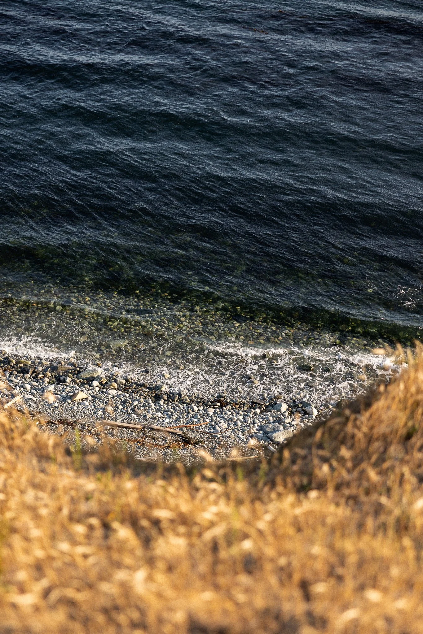 San Juan Island_Nicole Schmiedl-21.jpg
